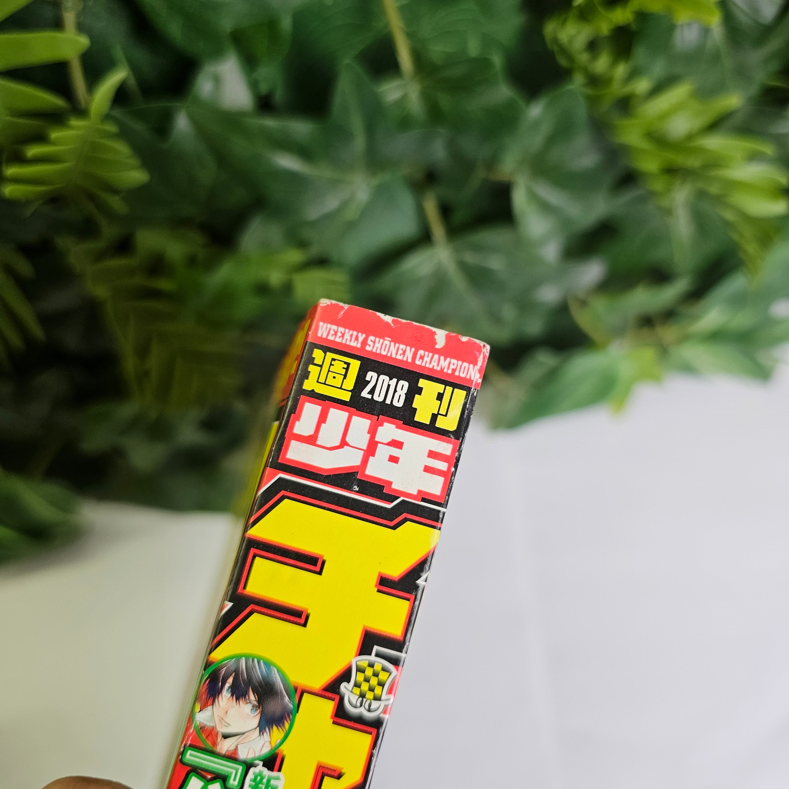 Weekly Shonen Champion n°46 (2018) (Baki)