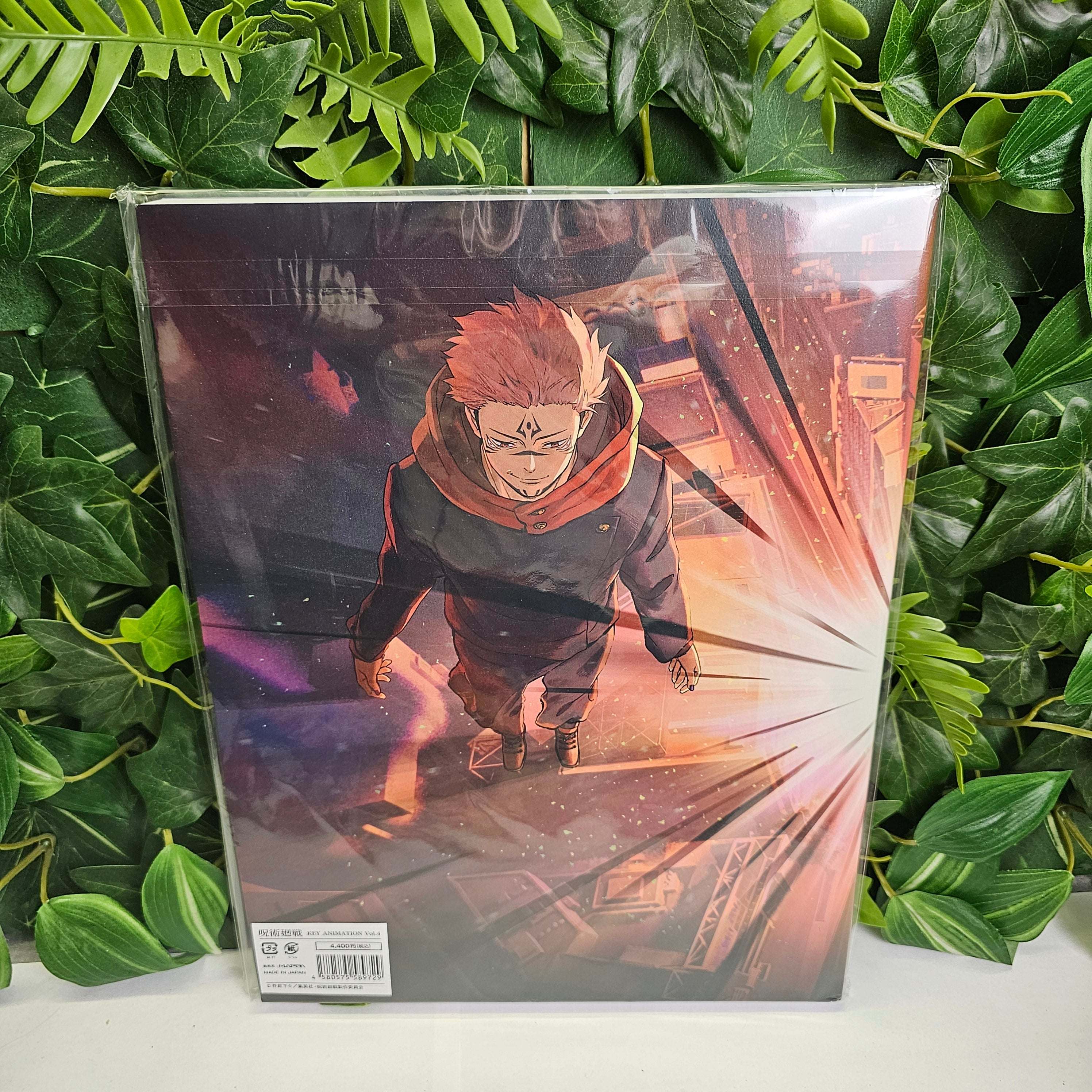 Jujutsu Kaisen Key Animation Vol.4