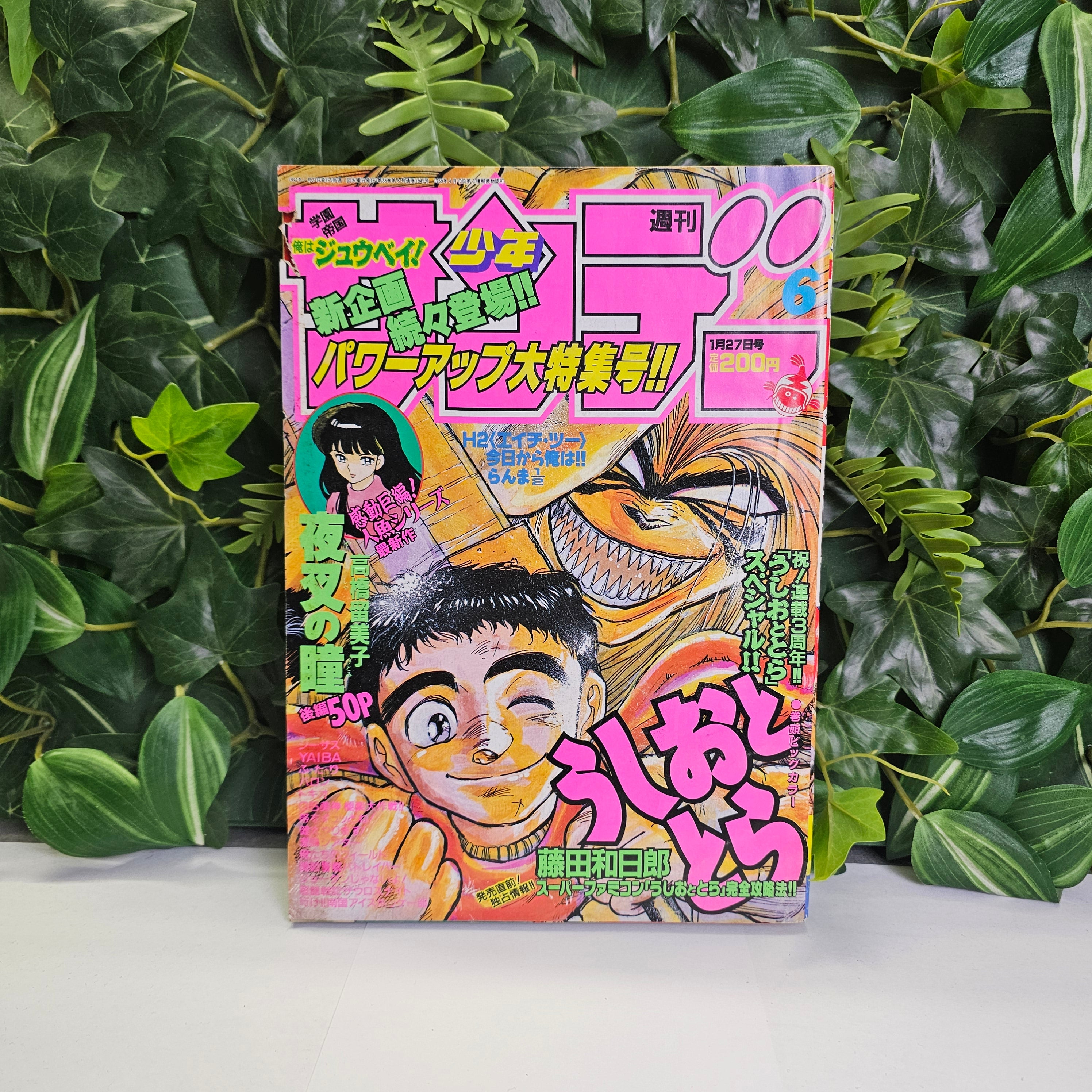 Weekly Shonen Sunday n°6 (1993)