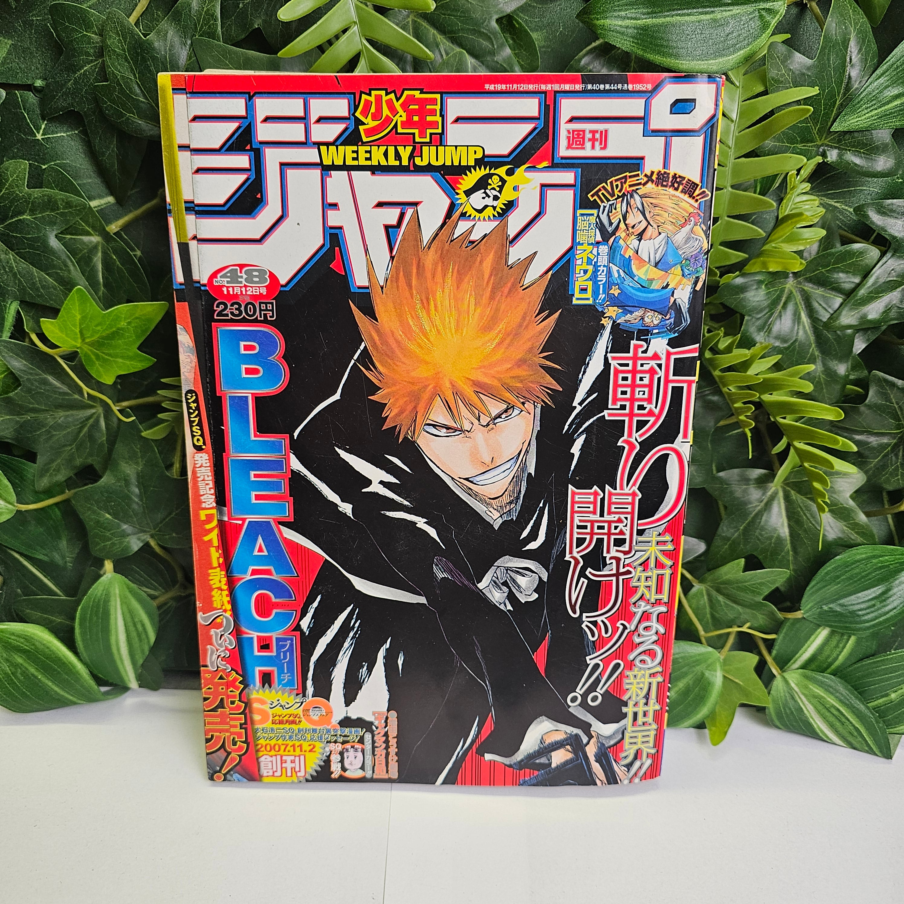 Weekly Shonen Jump n°48 (2007) (Bleach)