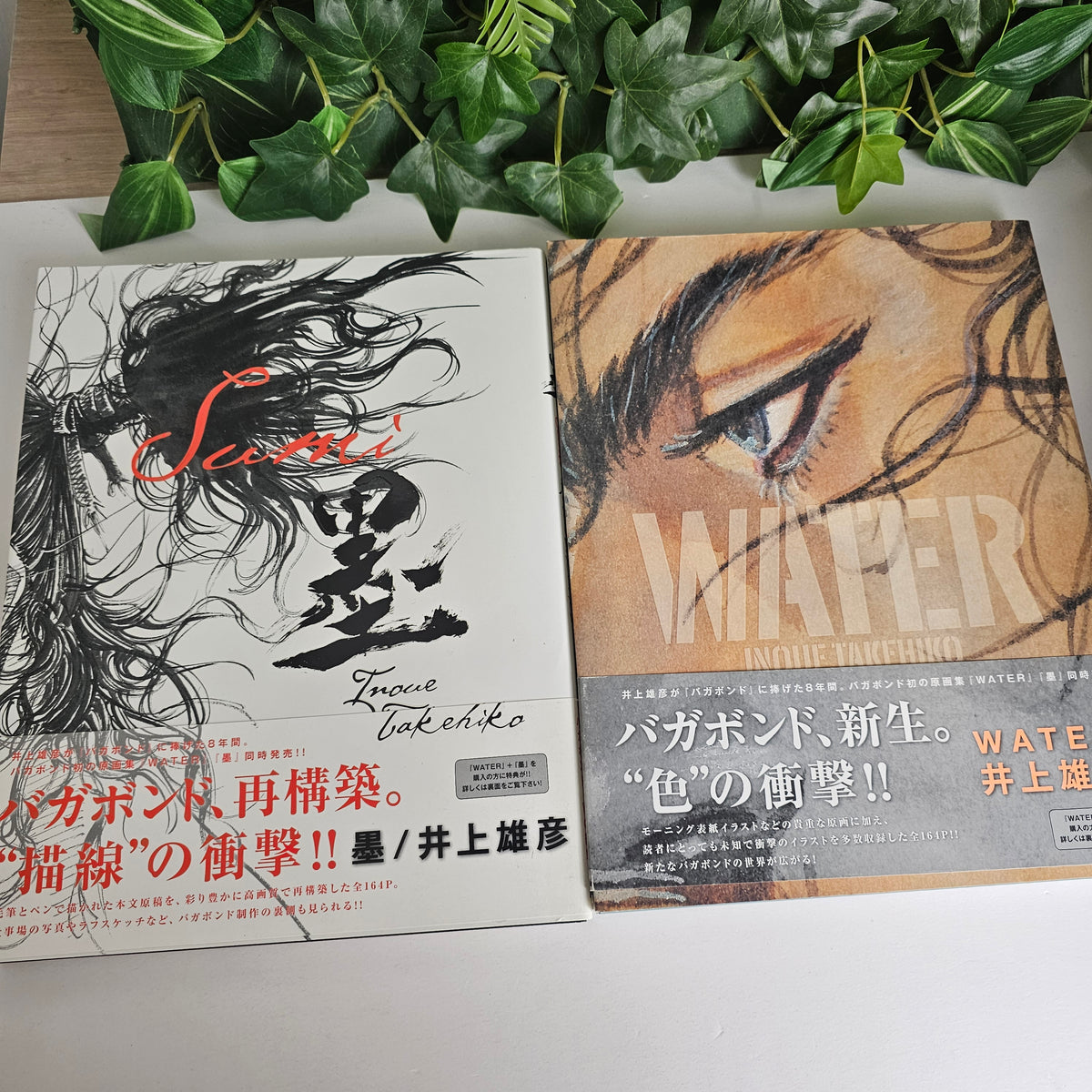Coffret Collector Artbook - Water + Sumi (Vagabond) (2006 first print)