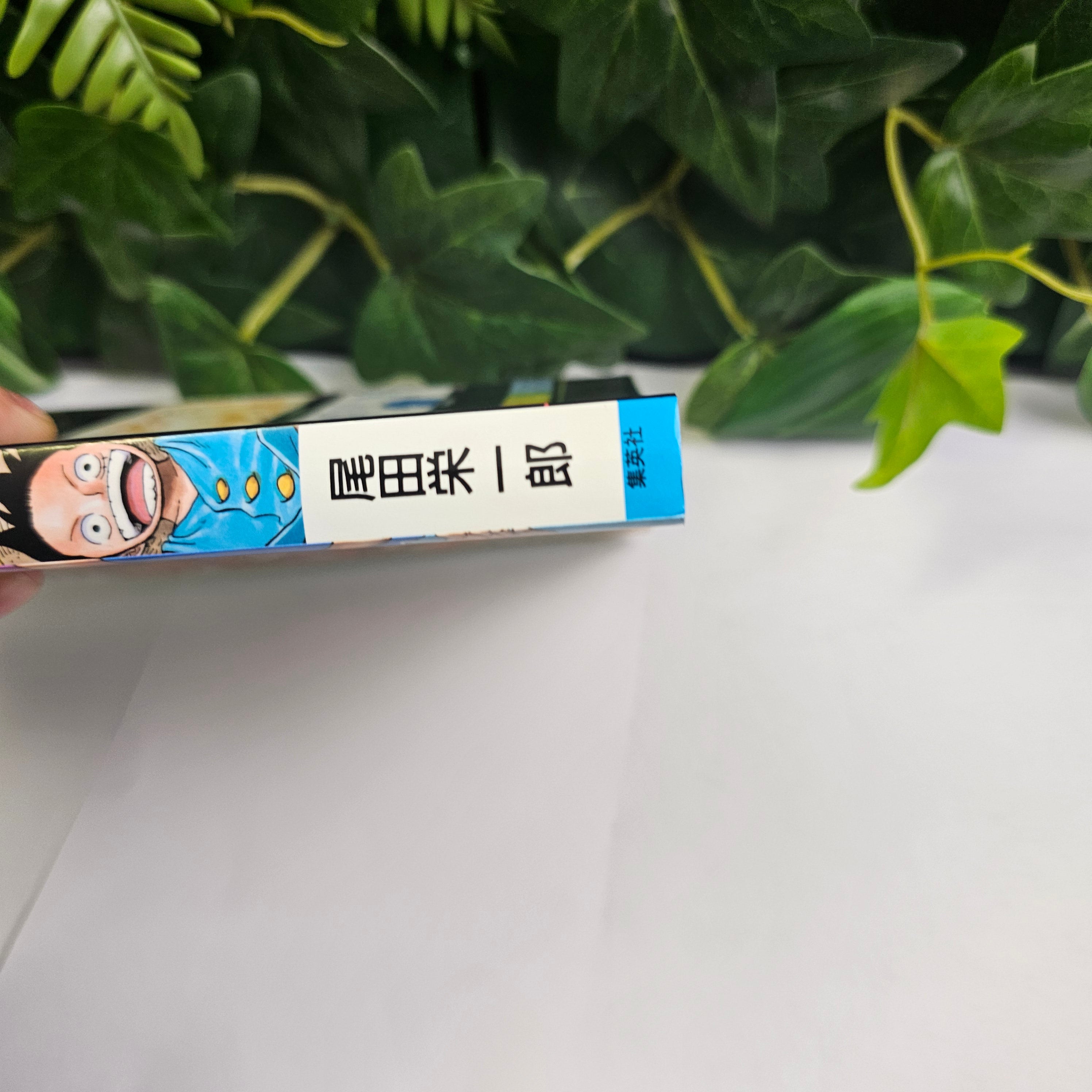 One Piece - Novel The Excellent Selection of Mugiwara Pirates