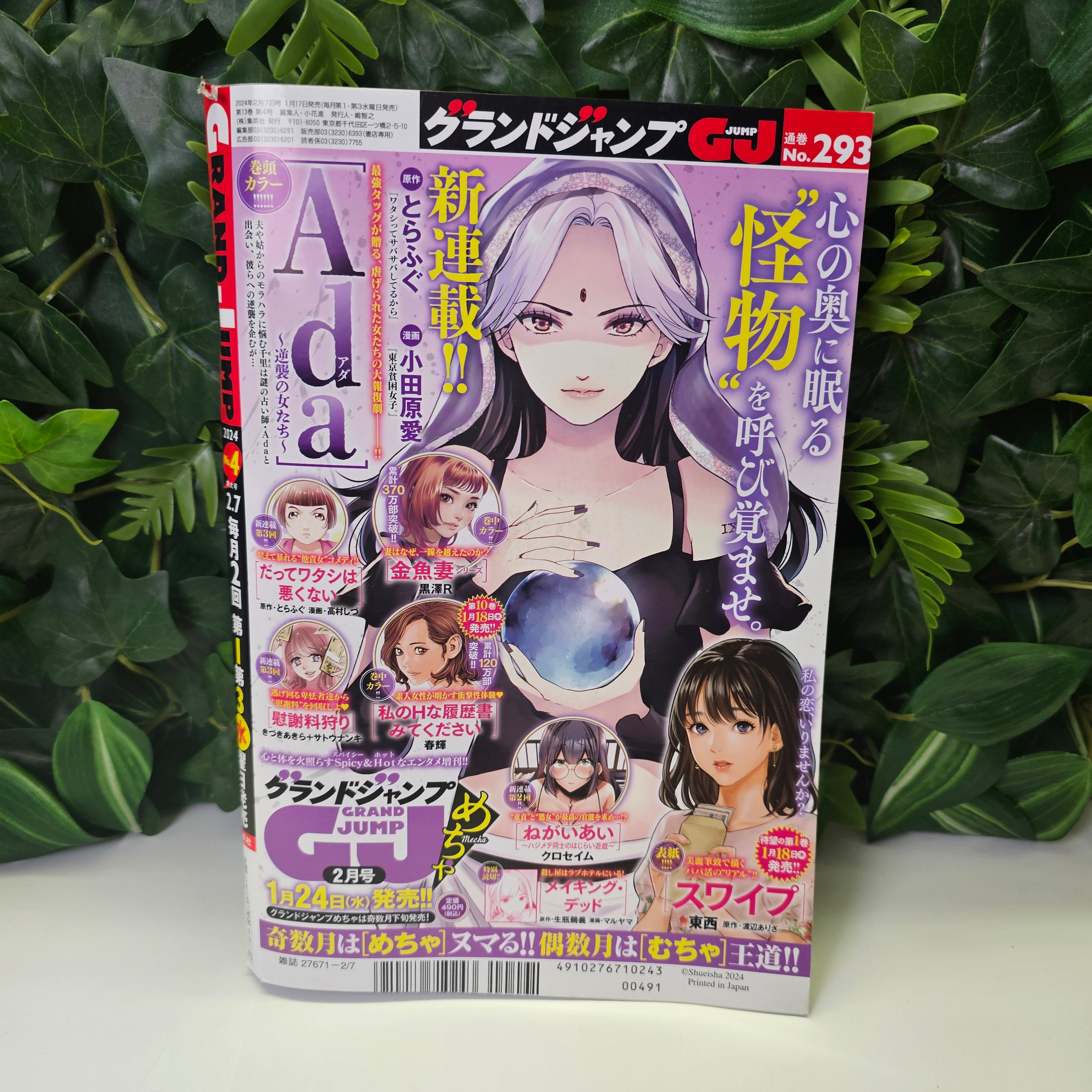 Grand Jump n°4 (2024)