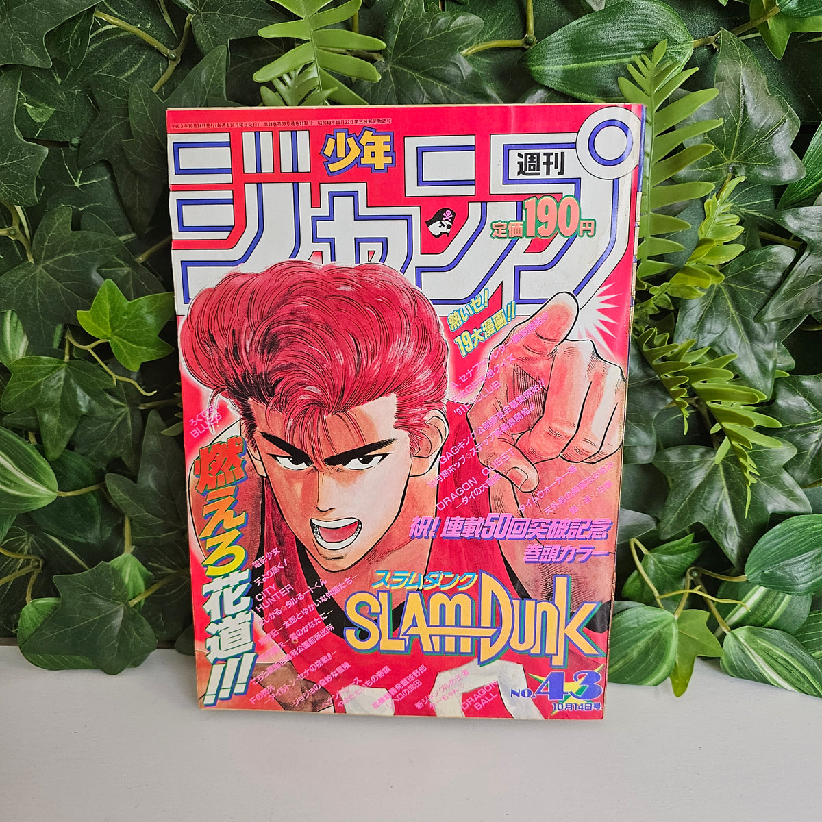 Weekly Shonen Jump n°43 (1991) (Slam Dunk)