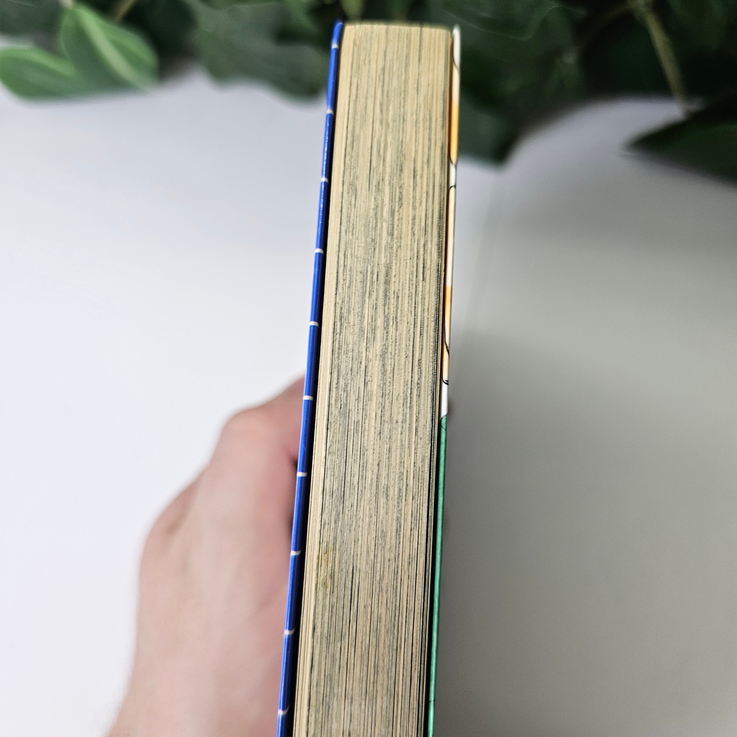 Eyeshield 21 - Tome 1 (VO)