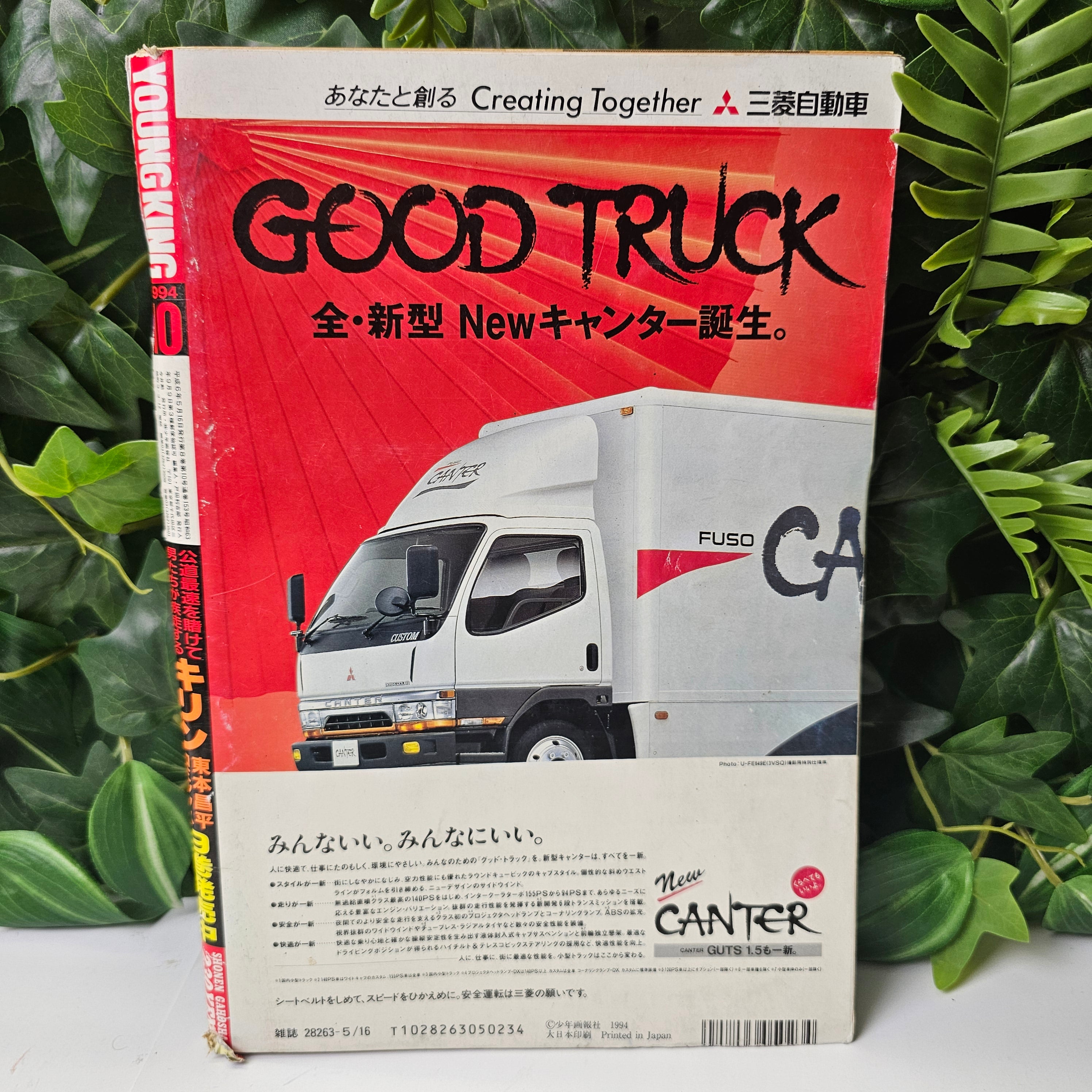 Young King n°10 (1994)