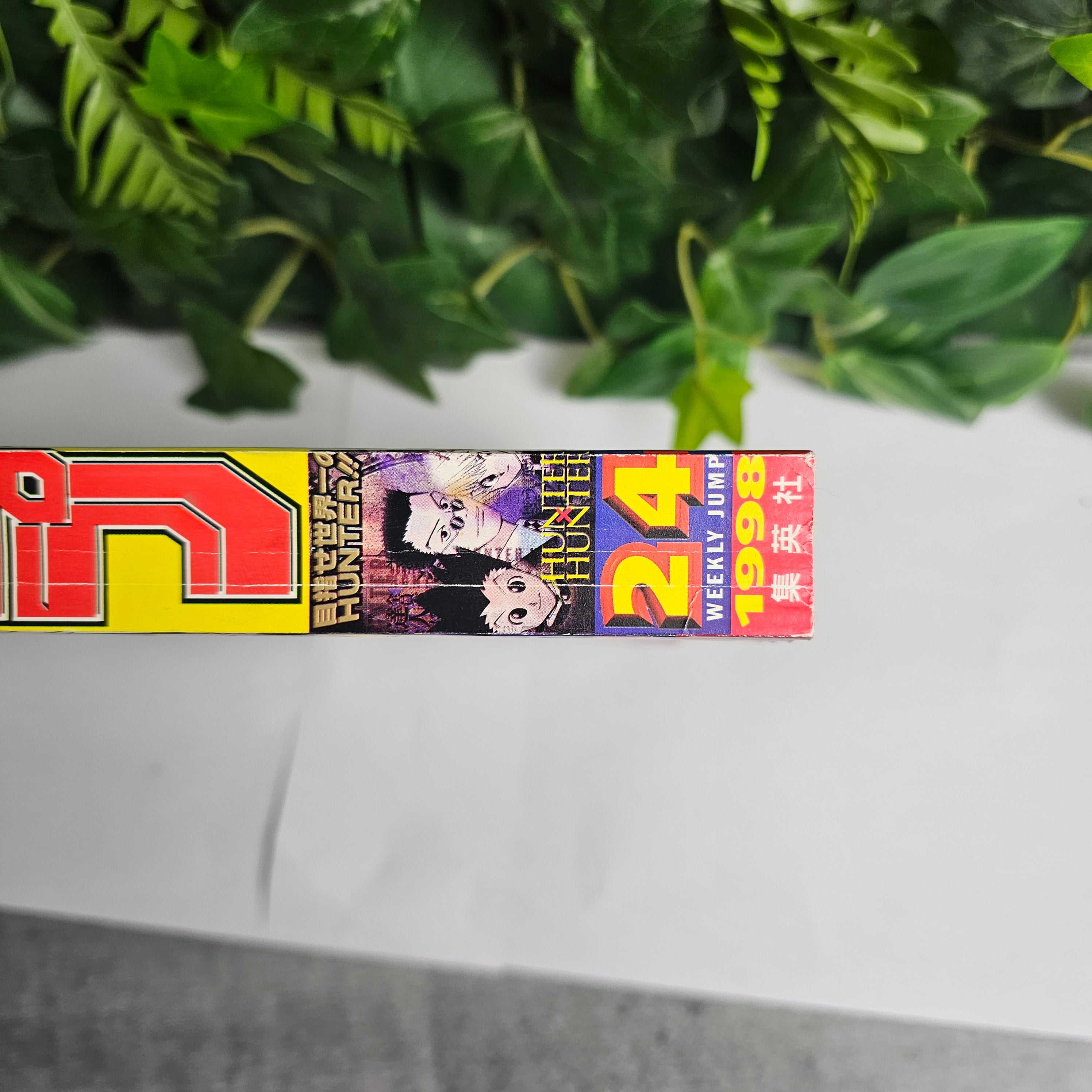Weekly Shonen Jump n°24 (1998)