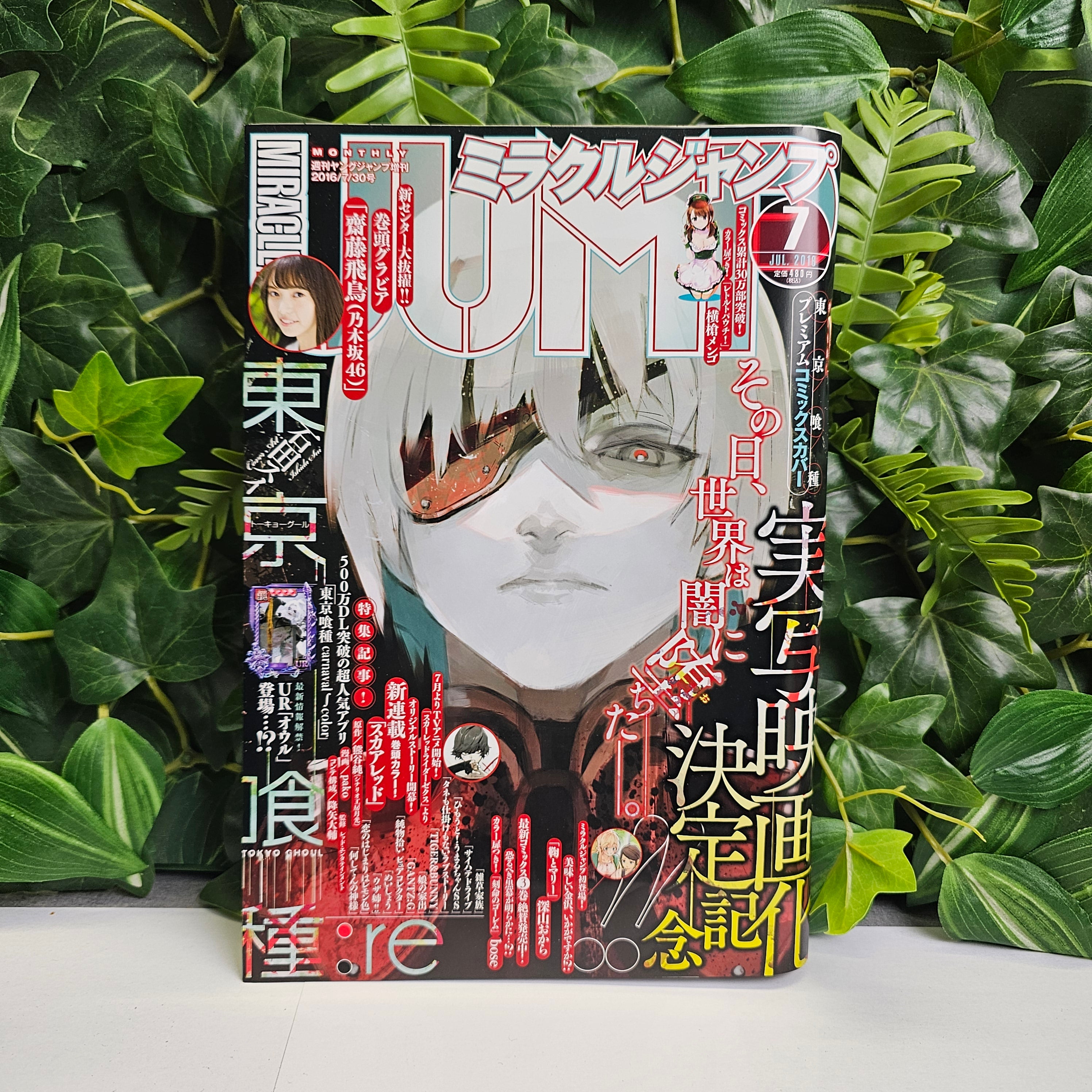 Miracle Jump n°7 (2016)