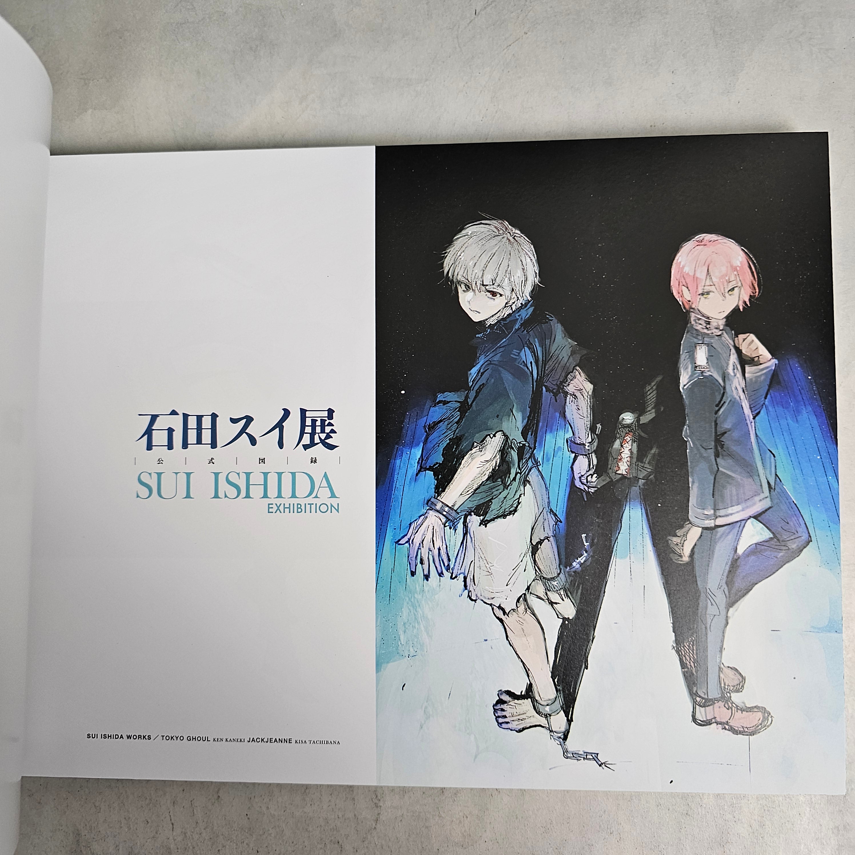 Sui Ishida Exhibition - Tokyo Ghoul ArtBook