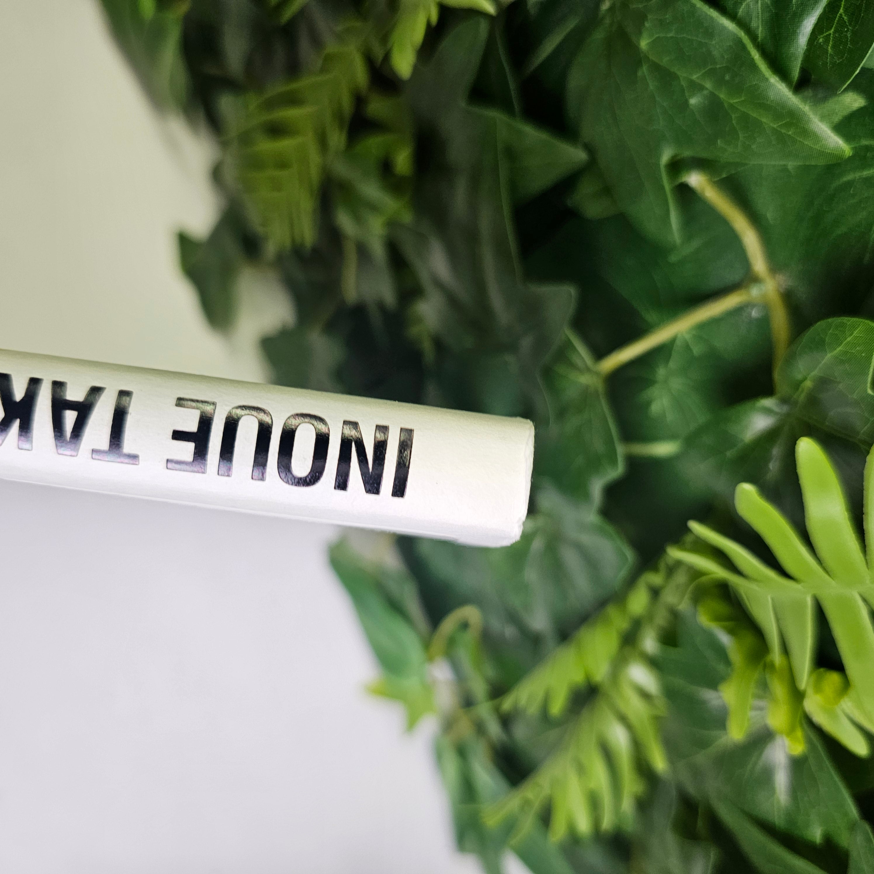 Slam Dunk Illustrations 1