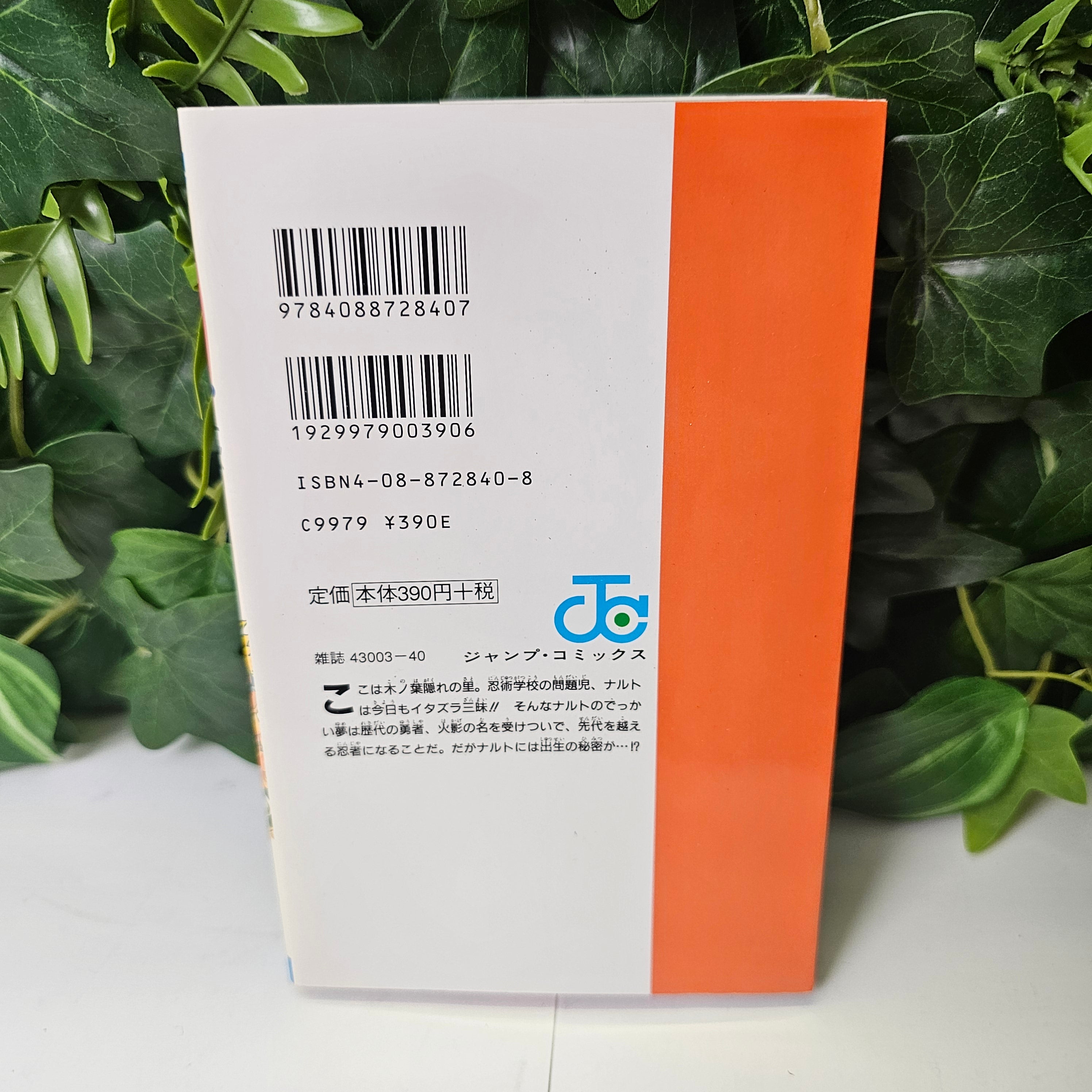 Naruto - Tome 1 (VO)