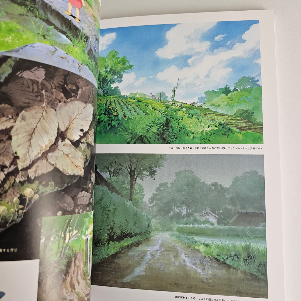Oga Kazuo Art Collection - Studio Ghibli
