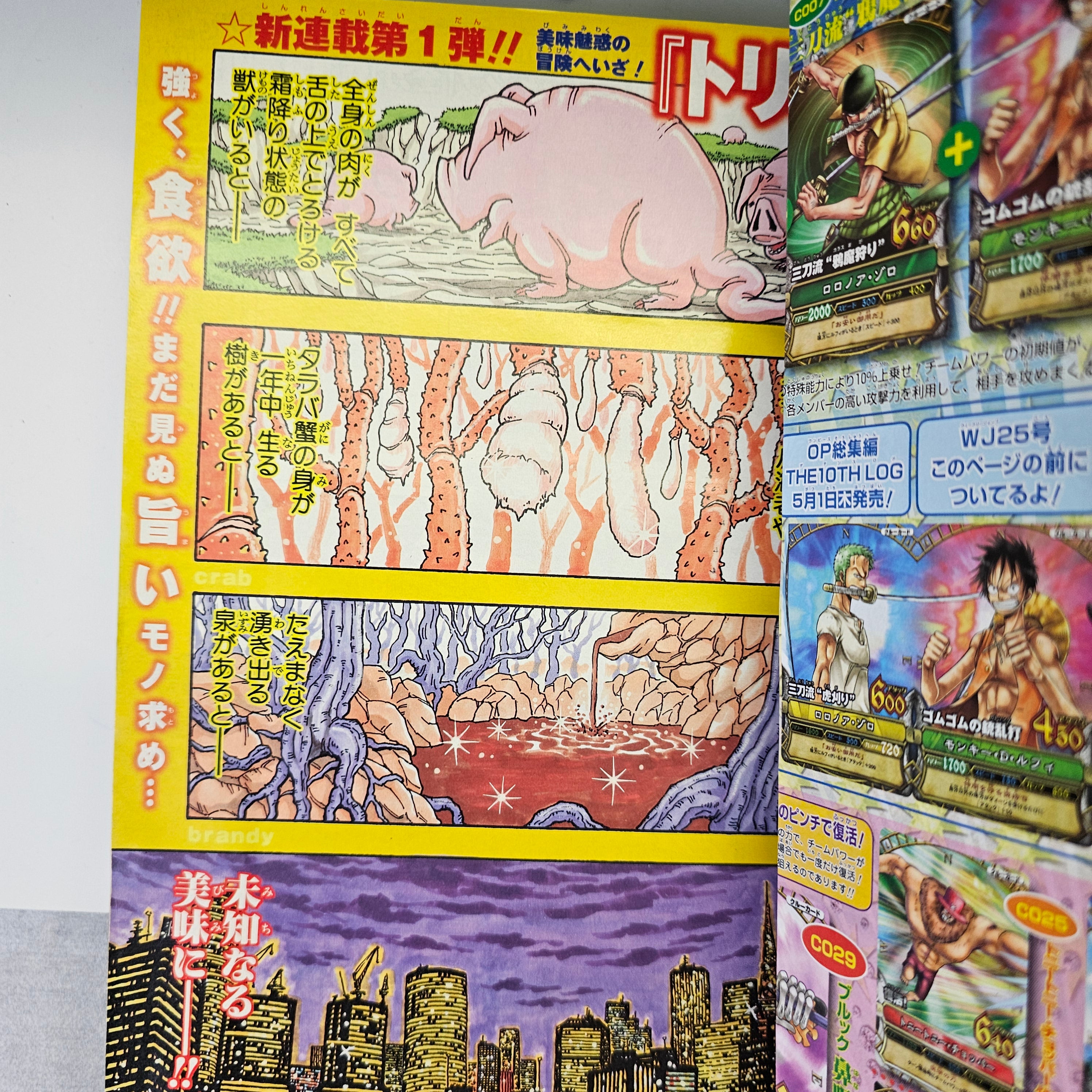 Weekly Shonen Jump n°25 (2008) PREMIER CHAPITRE