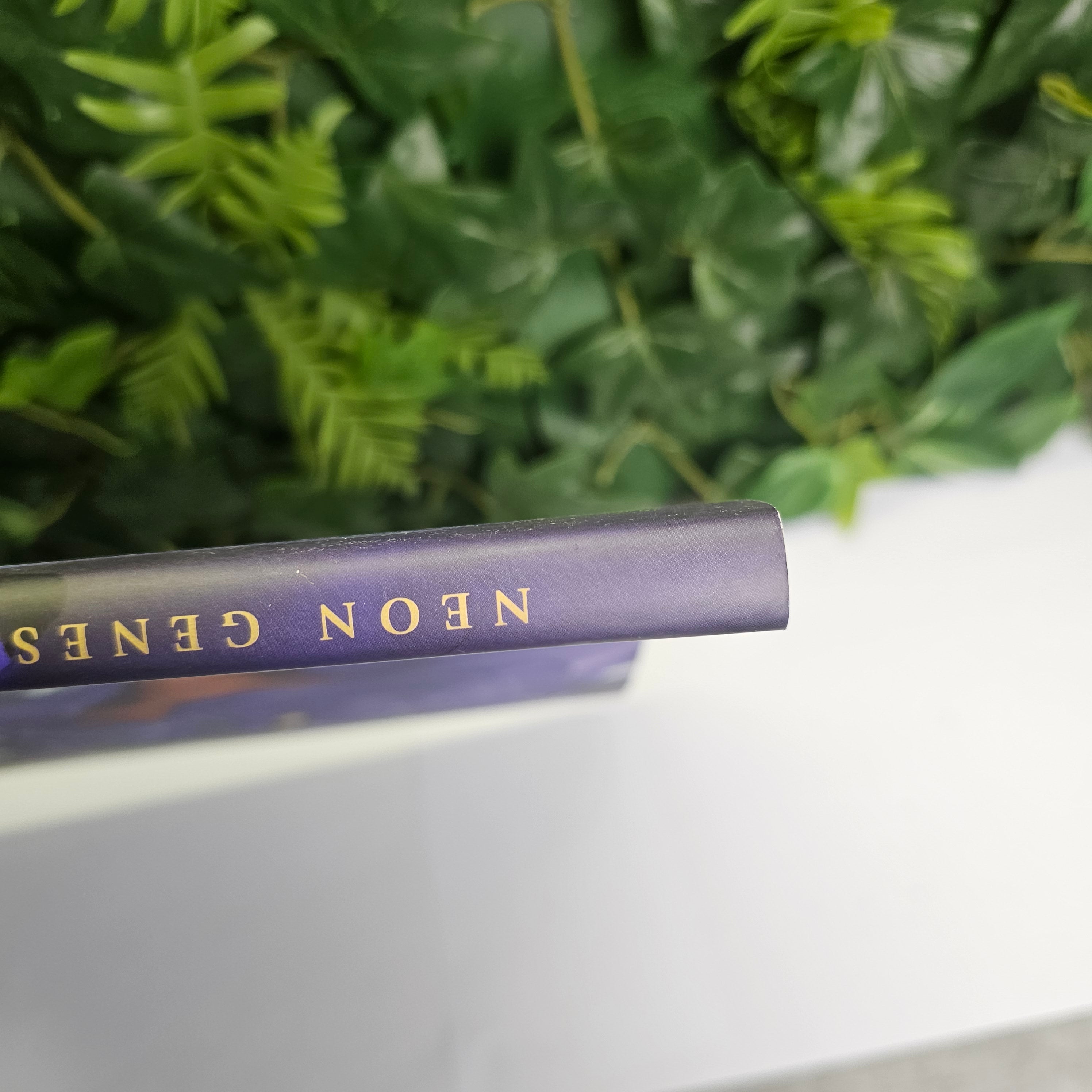 Evangelion Die Sterne V2 Artbook