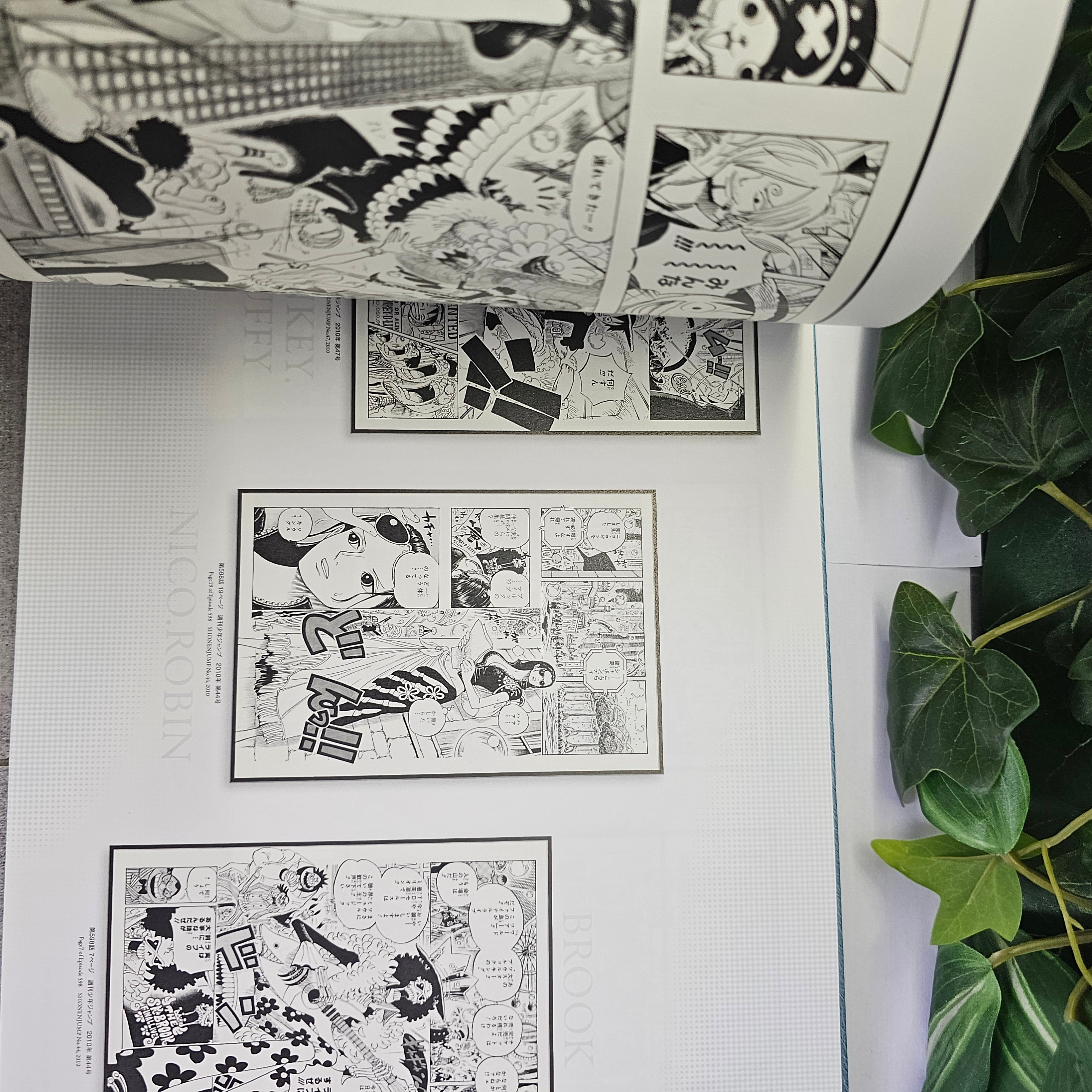 One Piece - (Kioku) Eternal Log - Catalogue Officiel de l'Exposition