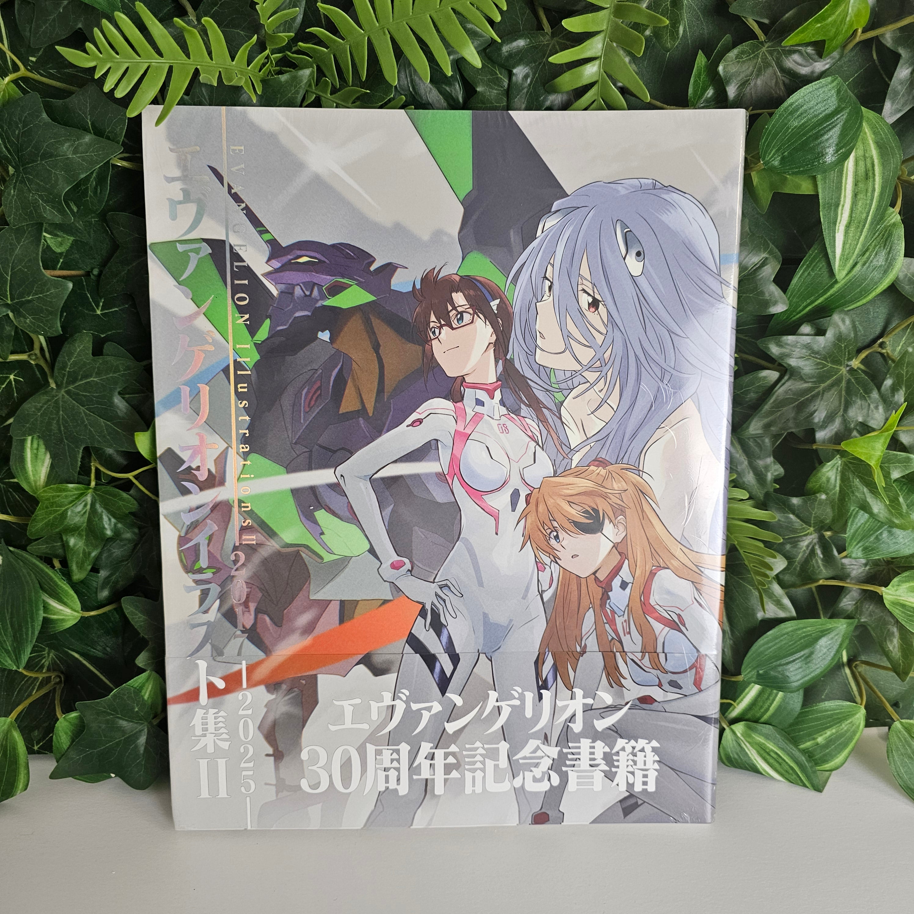 Evangelion Illustrations Vol. 2