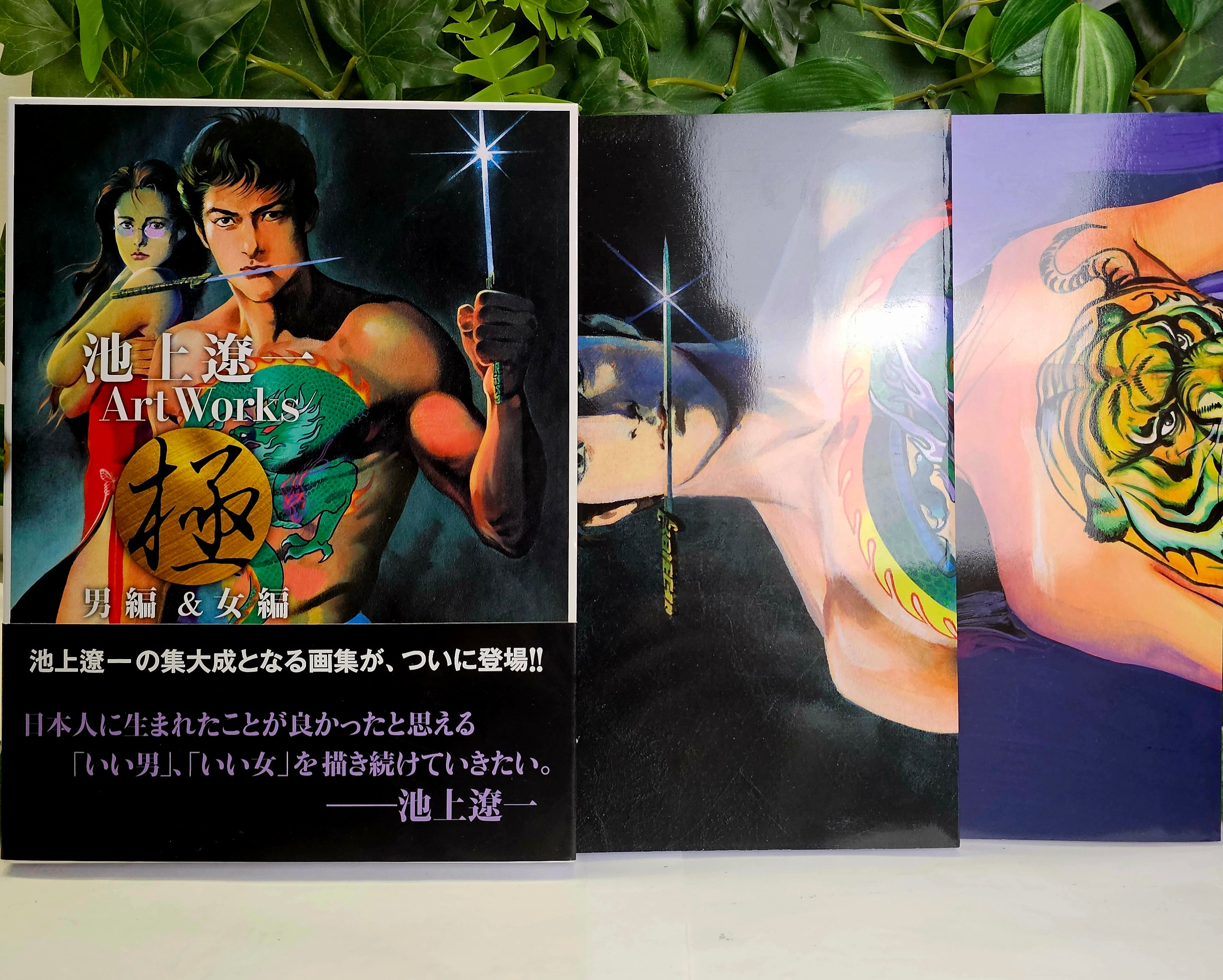 Ryoichi Ikegami Art Works - Japanese Wild and Beauty