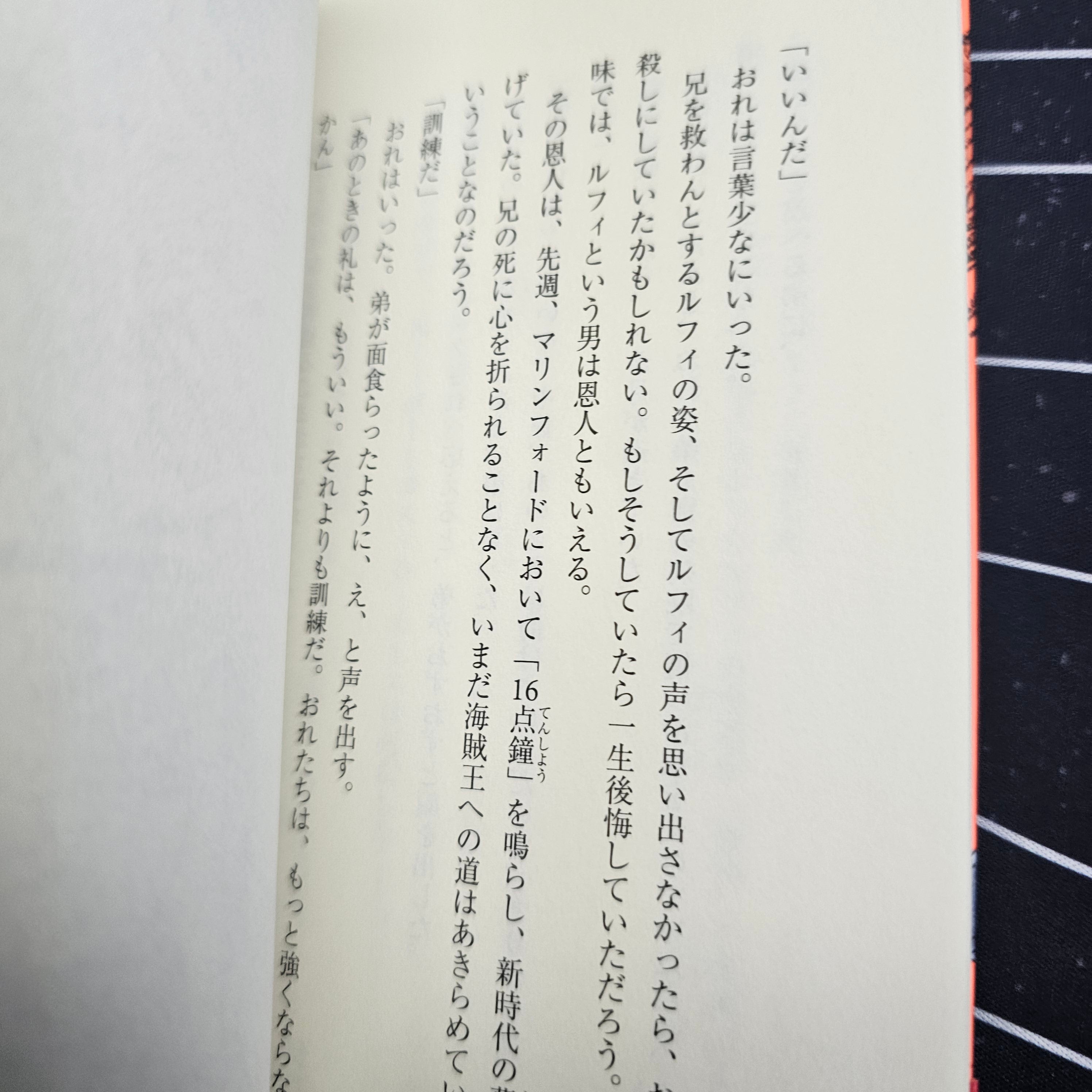 One Piece - Novel Straw Hat Stories