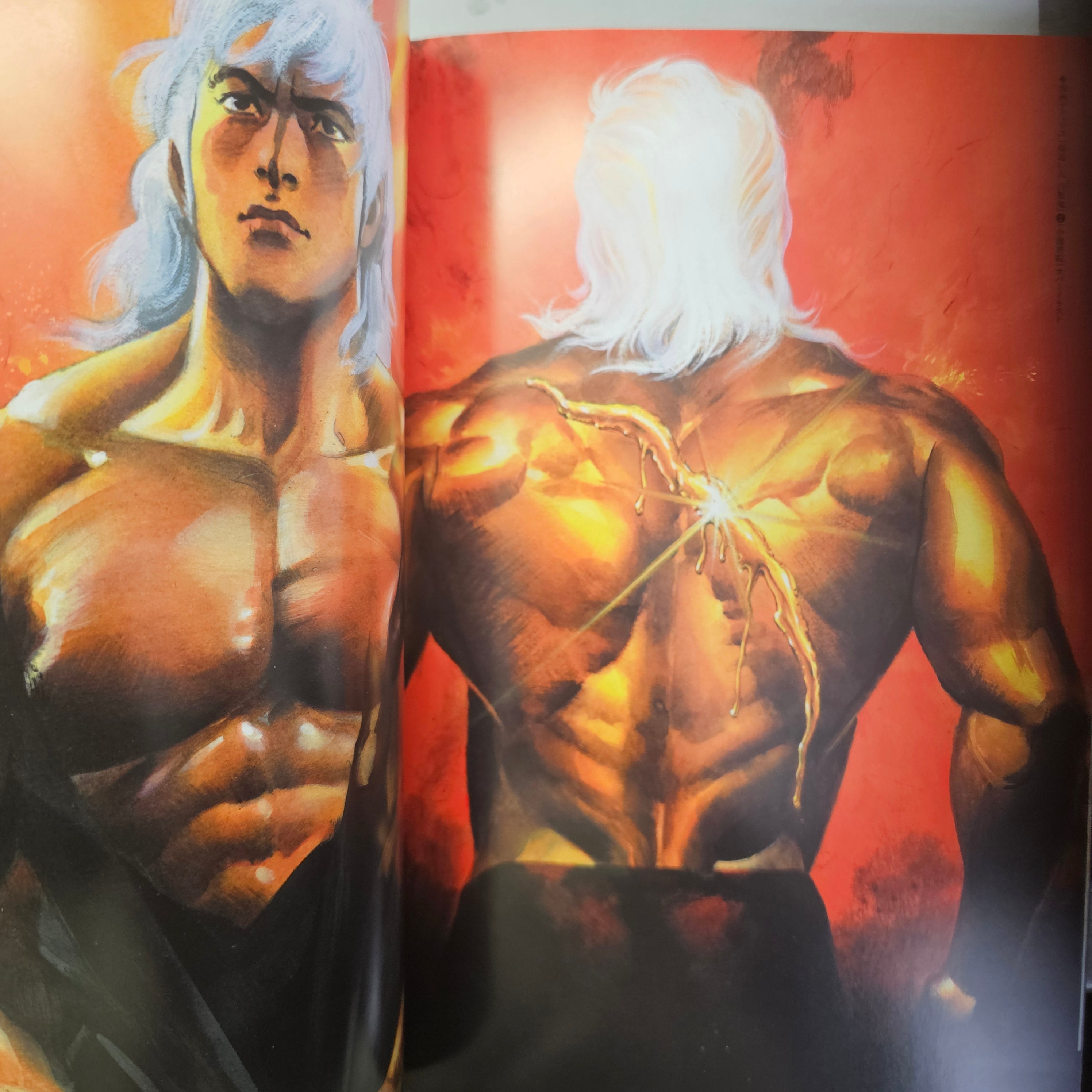 Ryoichi Ikegami Art Works - Japanese Wild and Beauty