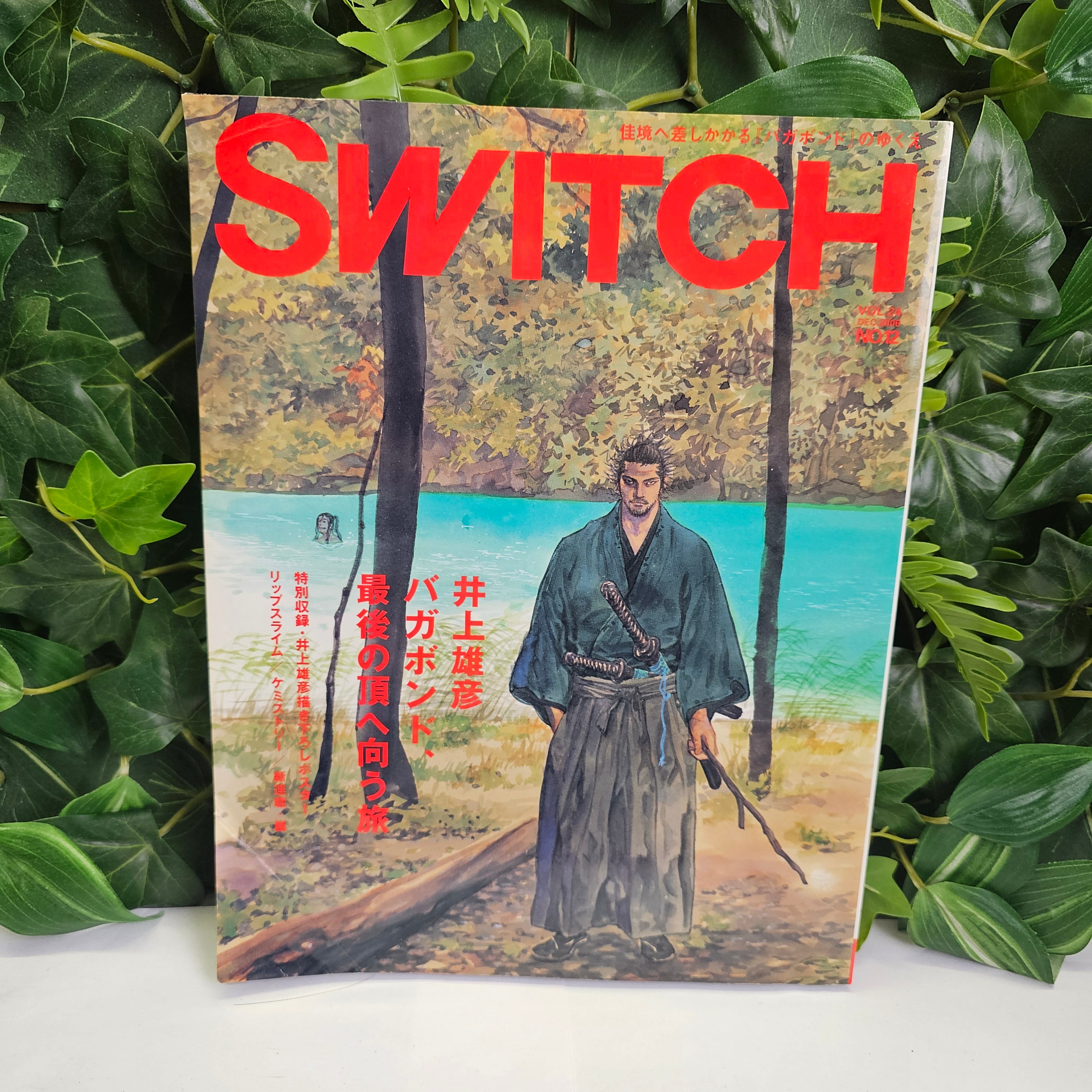 Switch Vagabond n°12 (2006)