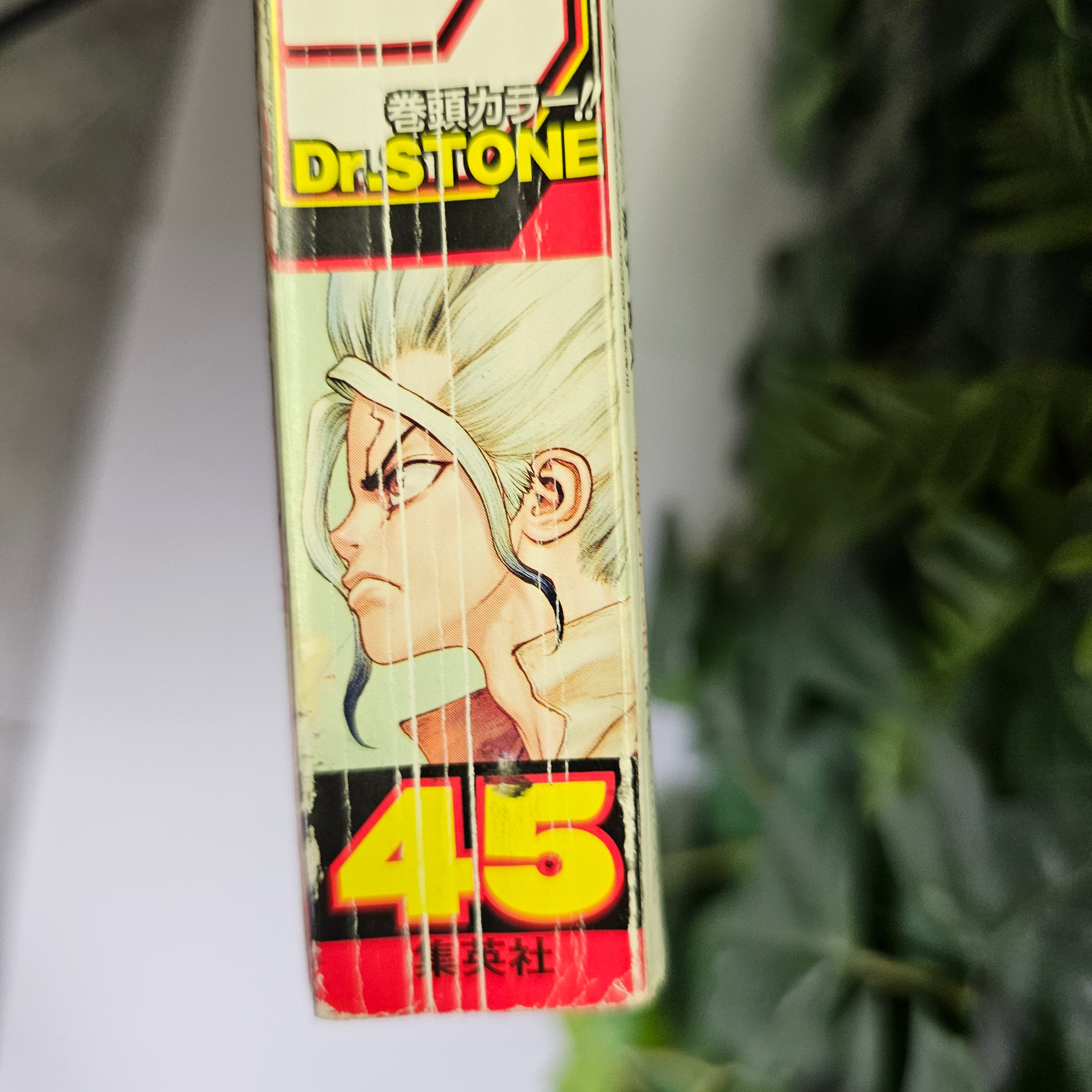 Weekly Shonen Jump n°45 (2018)