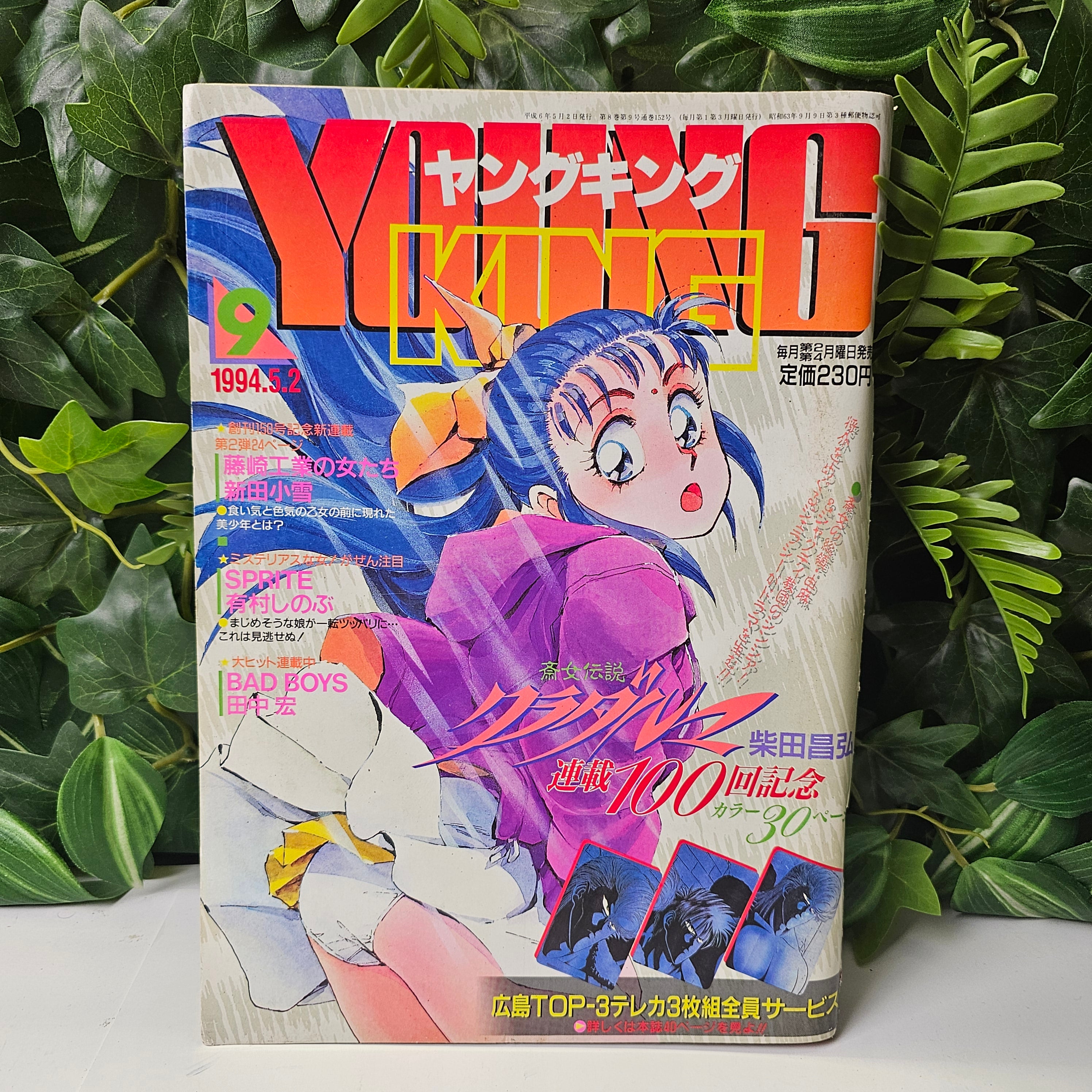 Young King n°9 (1994)