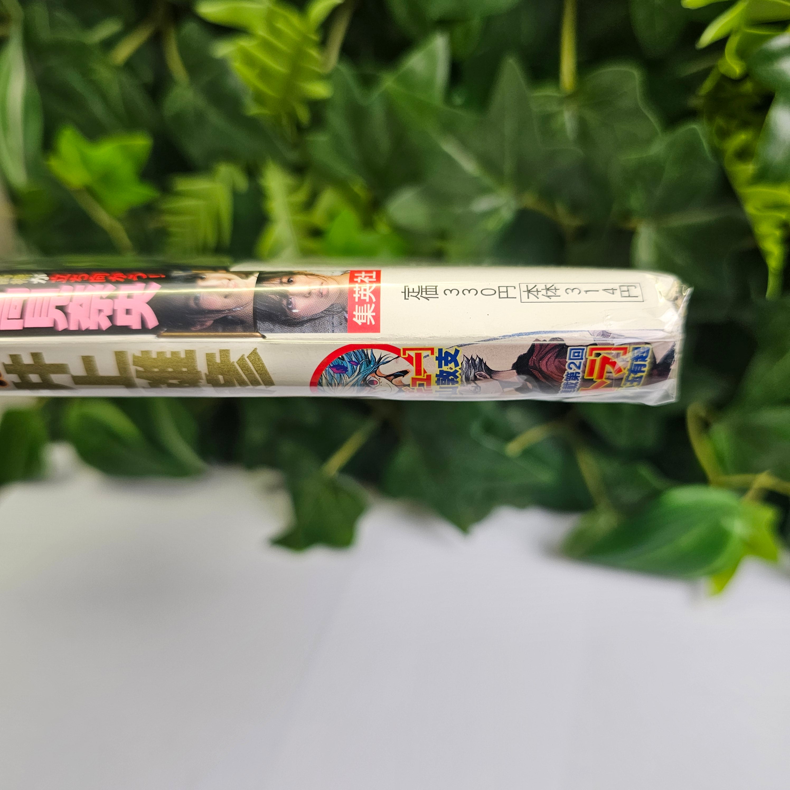 Weekly Young Jump n°52 (2013) (Real)