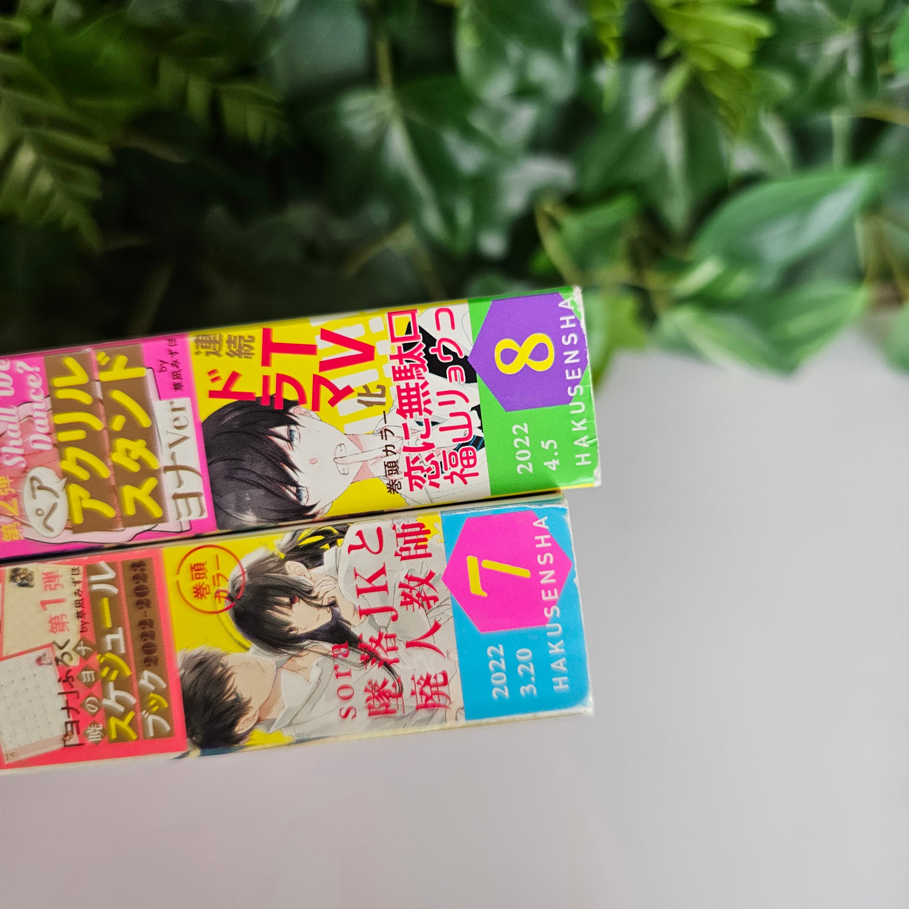 Hana to Yume n°7+8 (2022) (Akatsuki no Yona)