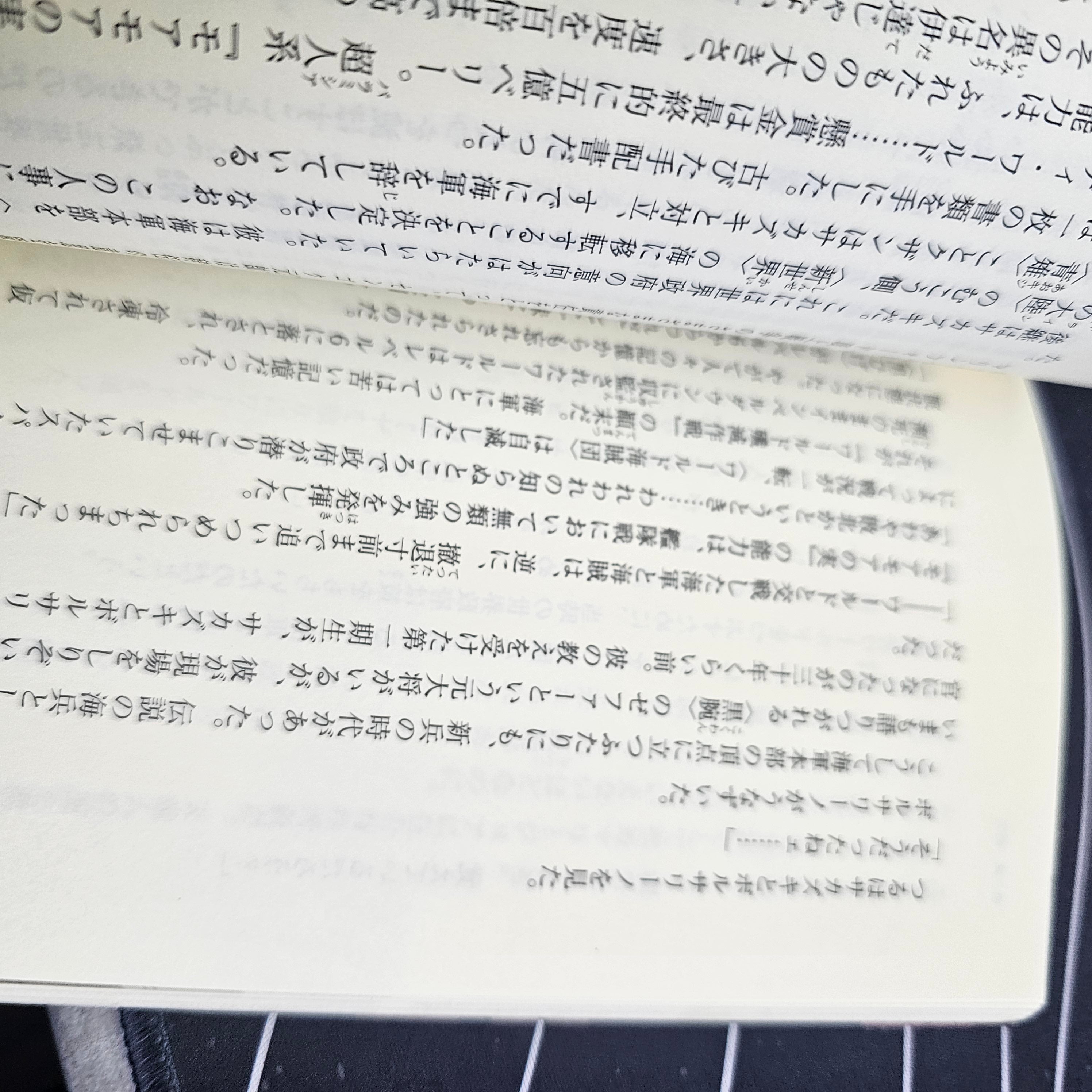 One Piece - Novel 3D2Y