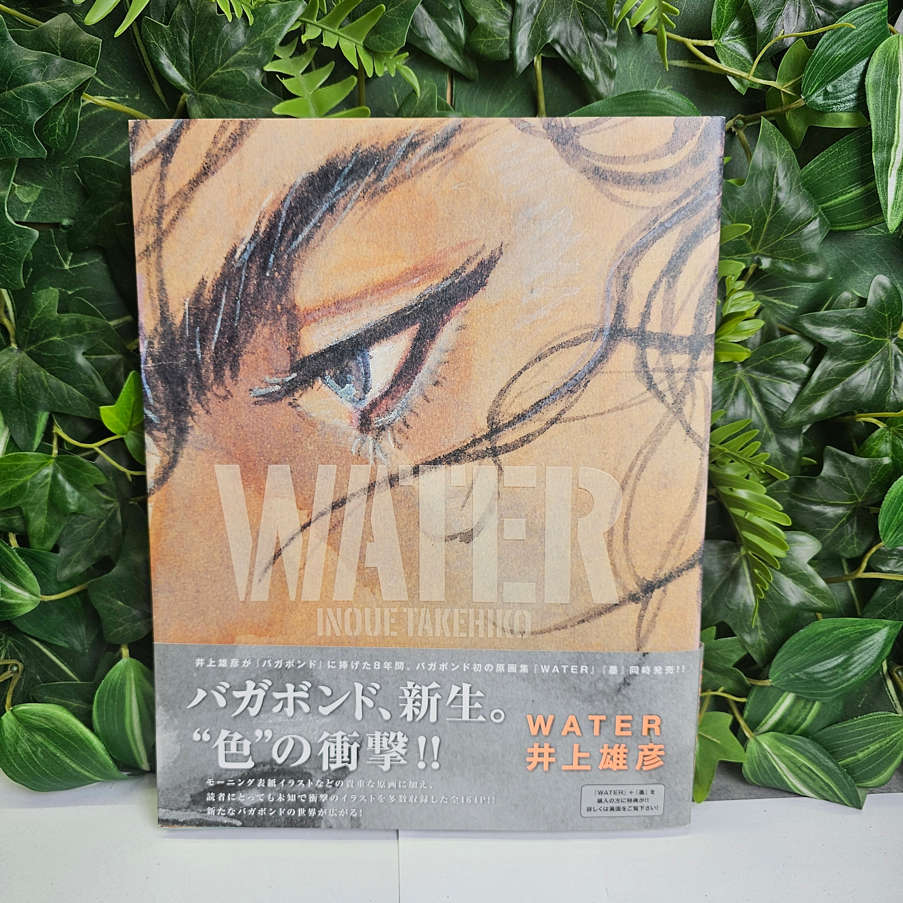 Coffret Collector Artbook - Water + Sumi (Vagabond) (2006 first print)