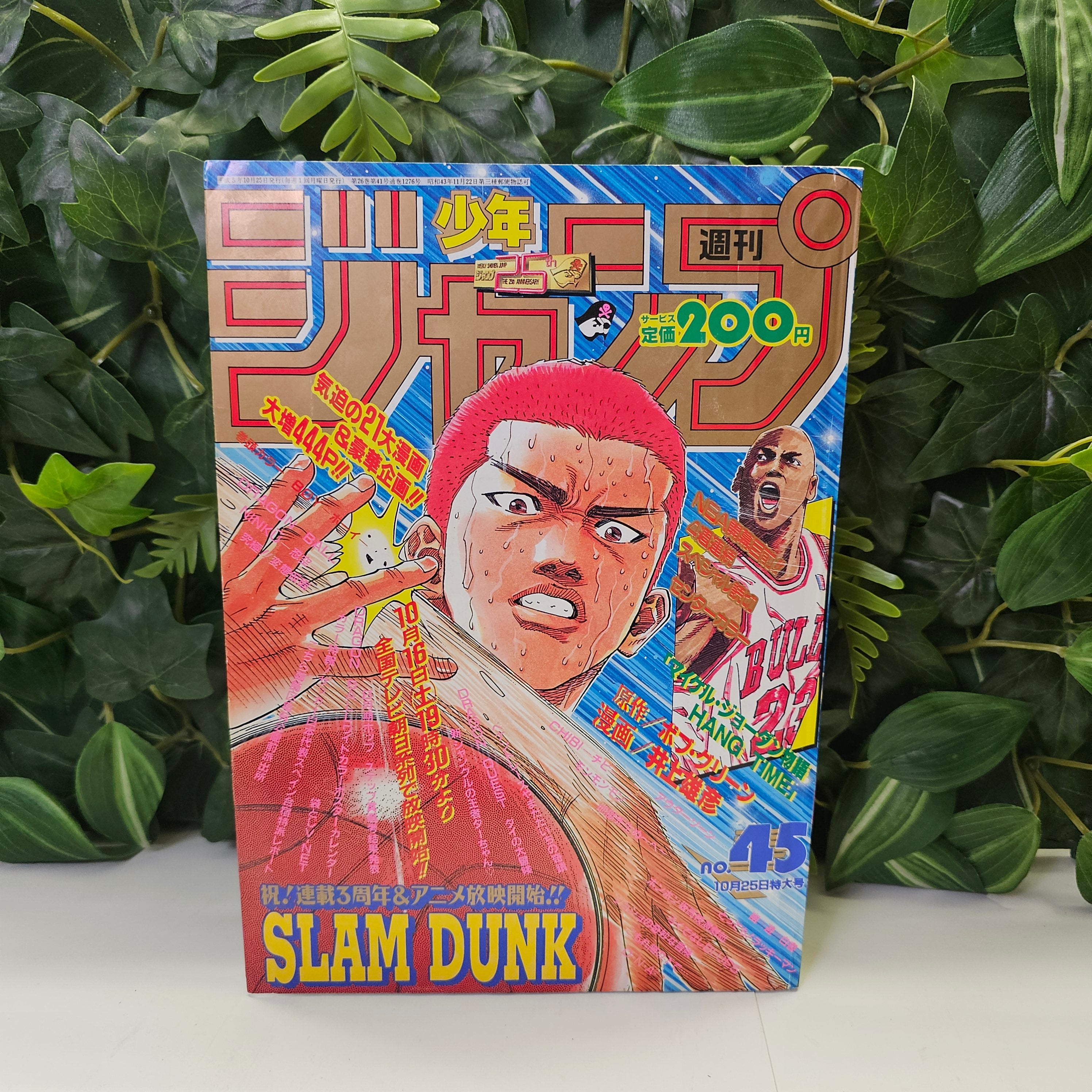 Weekly Shonen Jump n°45 (1993)