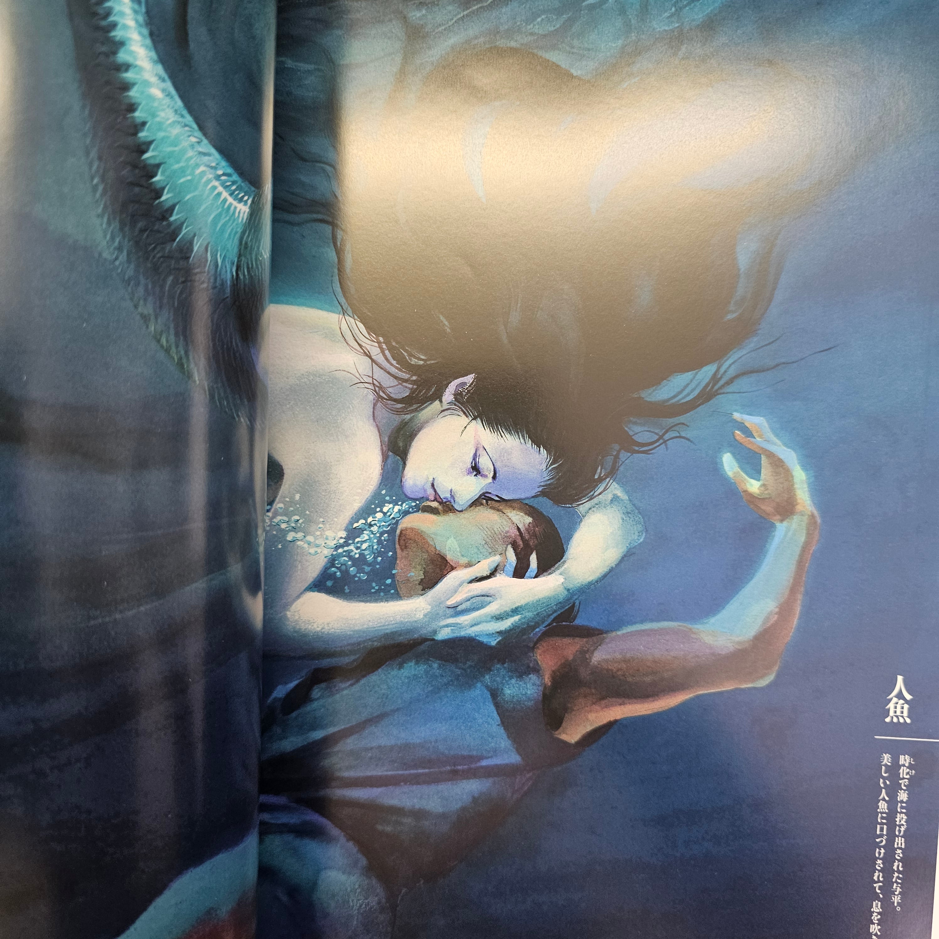 Ryoichi Ikegami Art Works - Japanese Wild and Beauty
