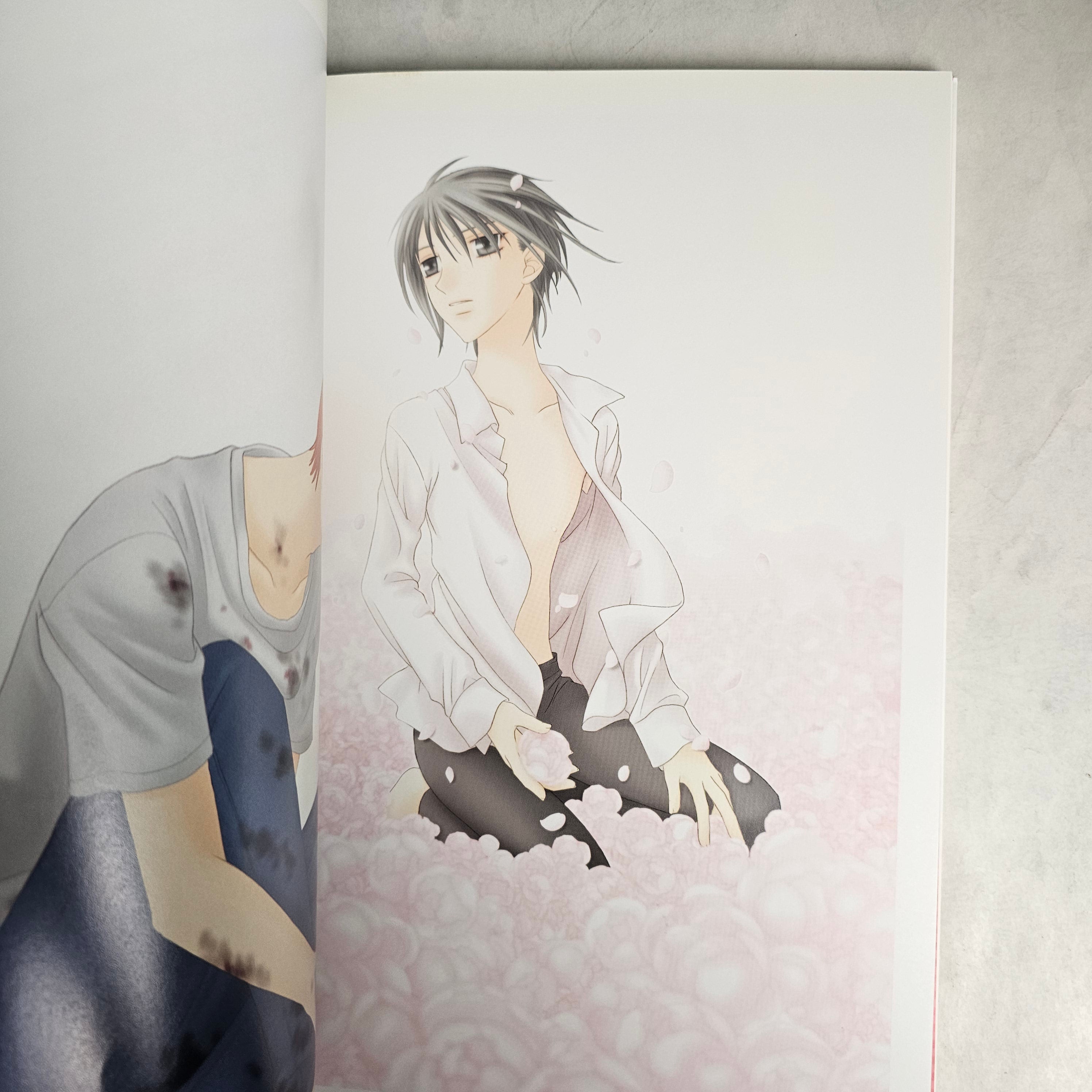 Artbook - Fruit Basket