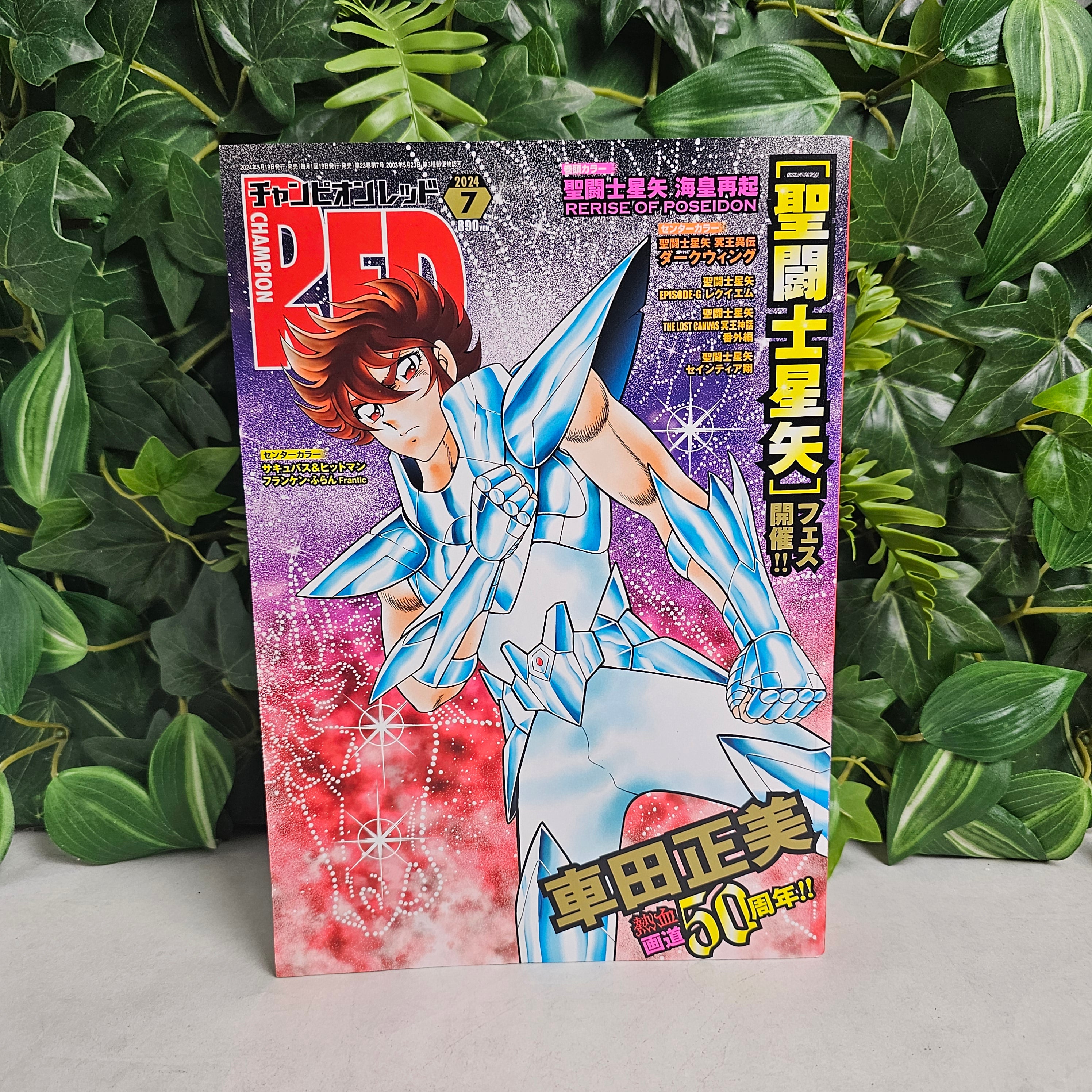 Champion Red n°7 (2024)