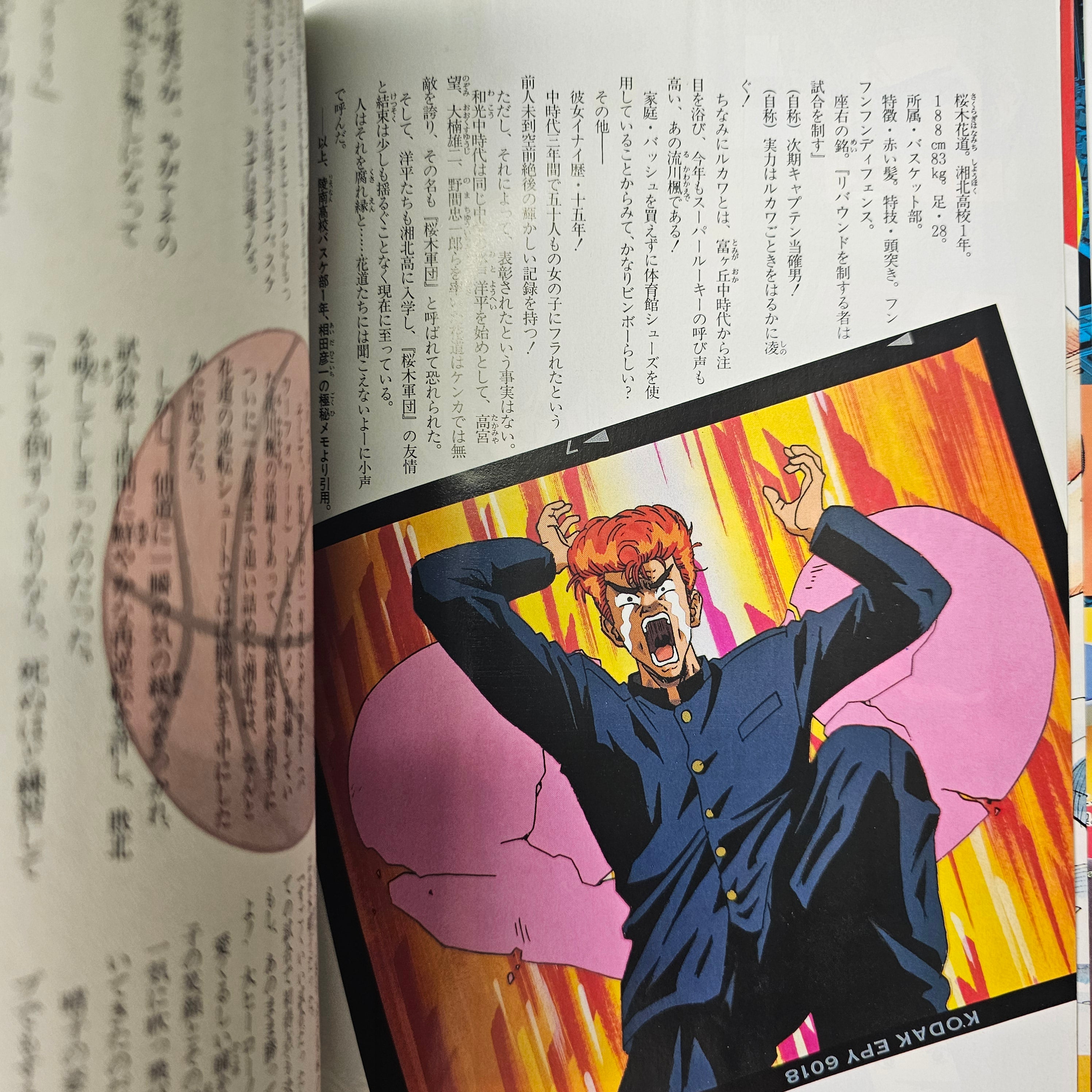 Jump Novel n°6 (1996) Slam Dunk