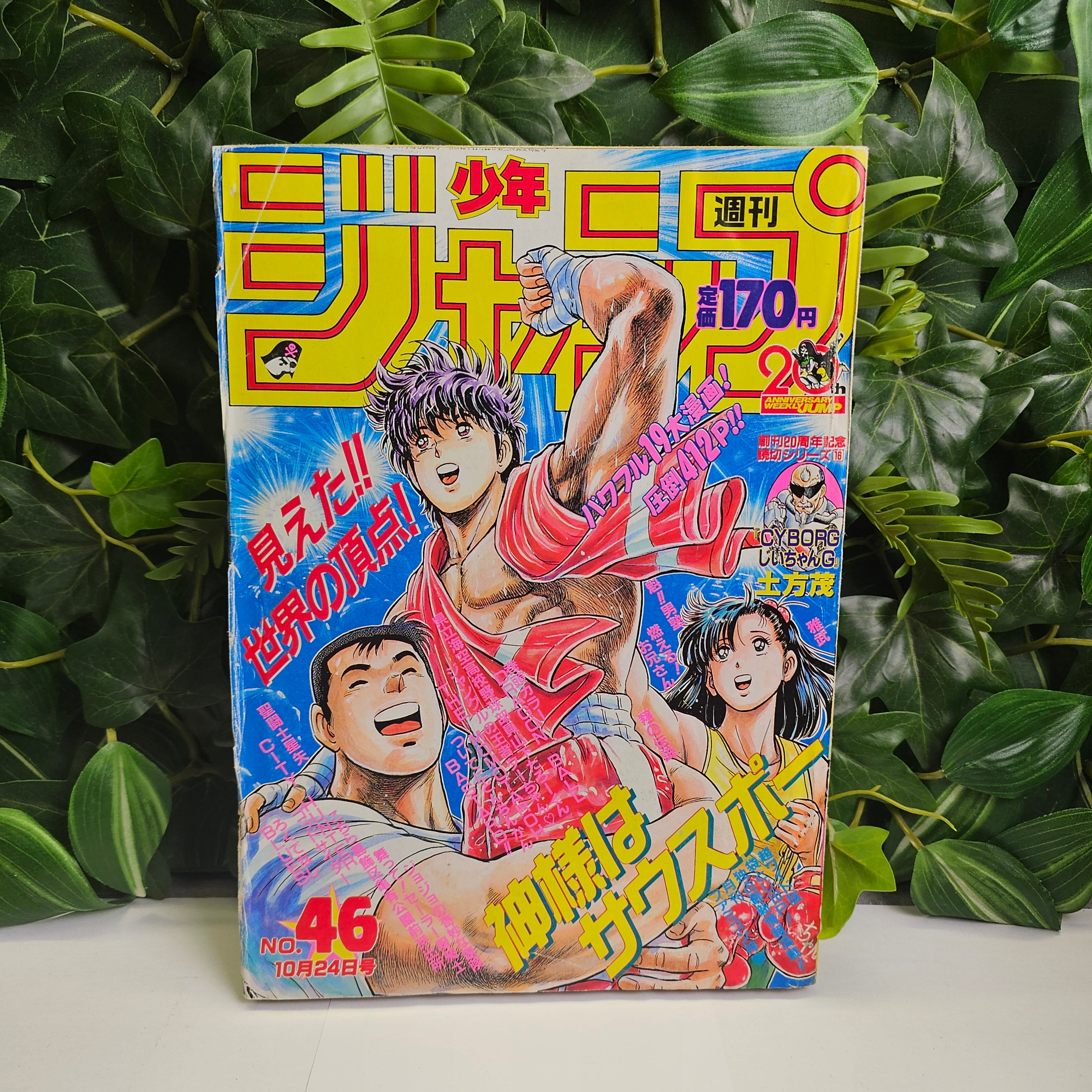 Weekly Shonen Jump n°46 (1988) pages couleurs Dragon Ball