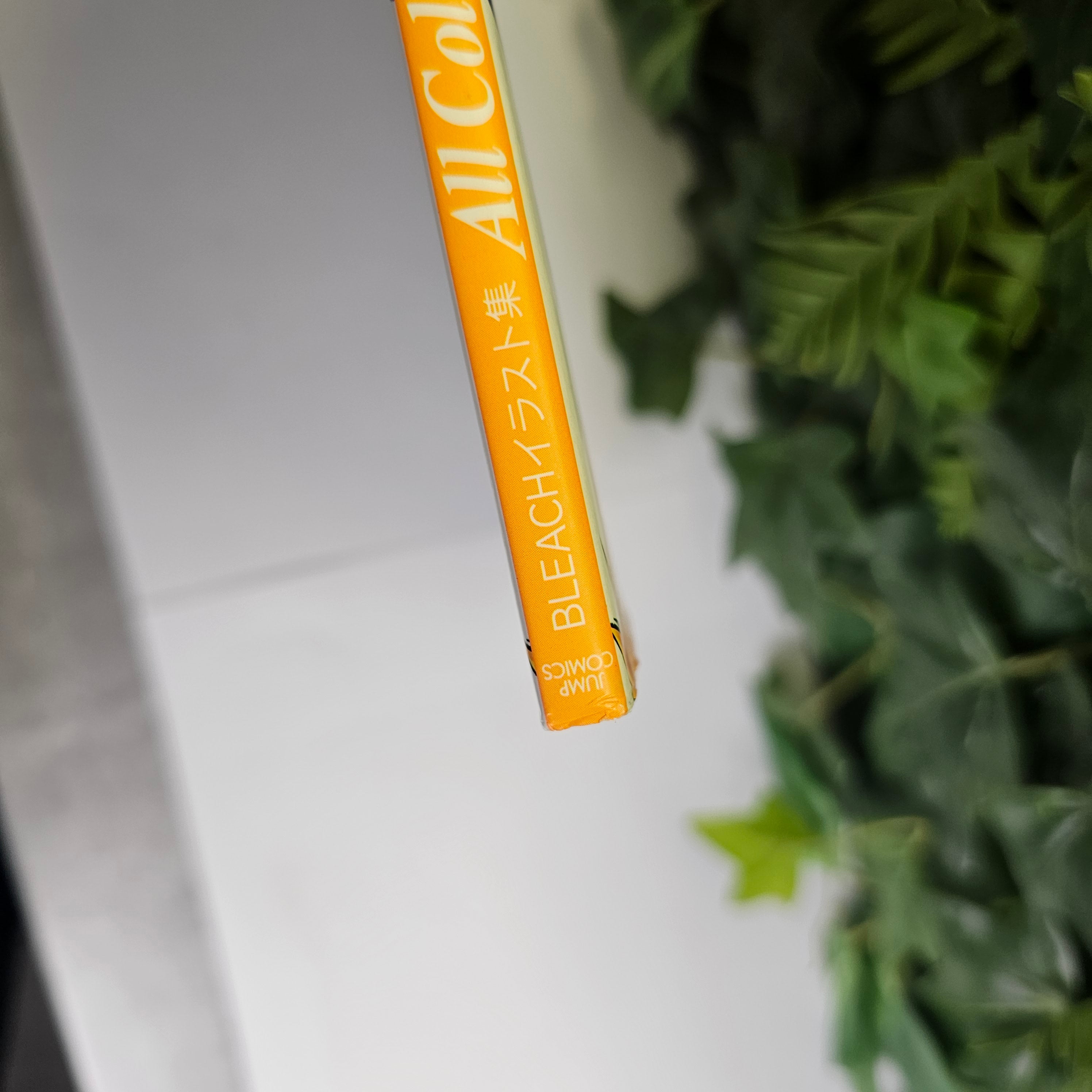 All Colour but the Black: The Art of Bleach