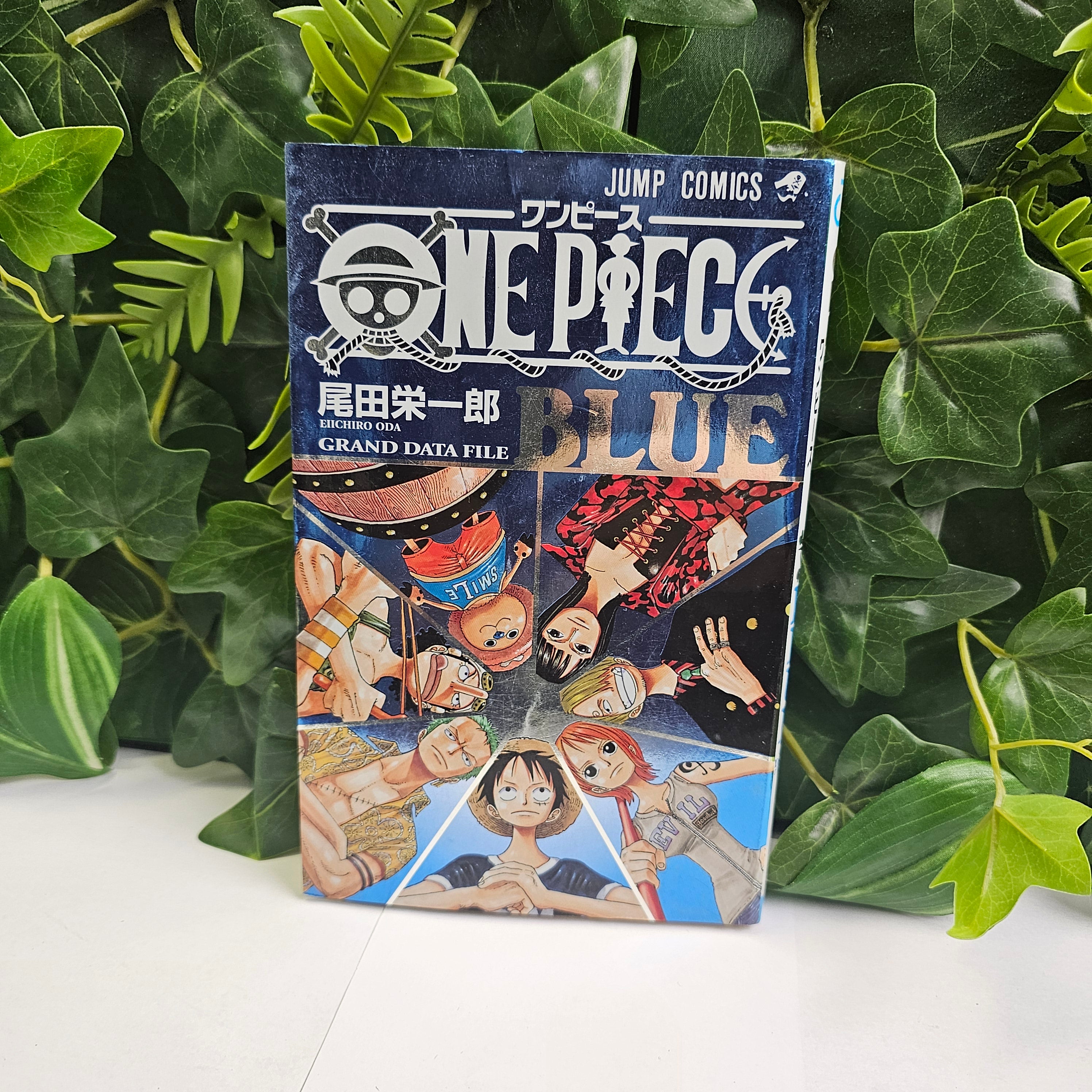 One Piece - Tome BLUE Grand Data File