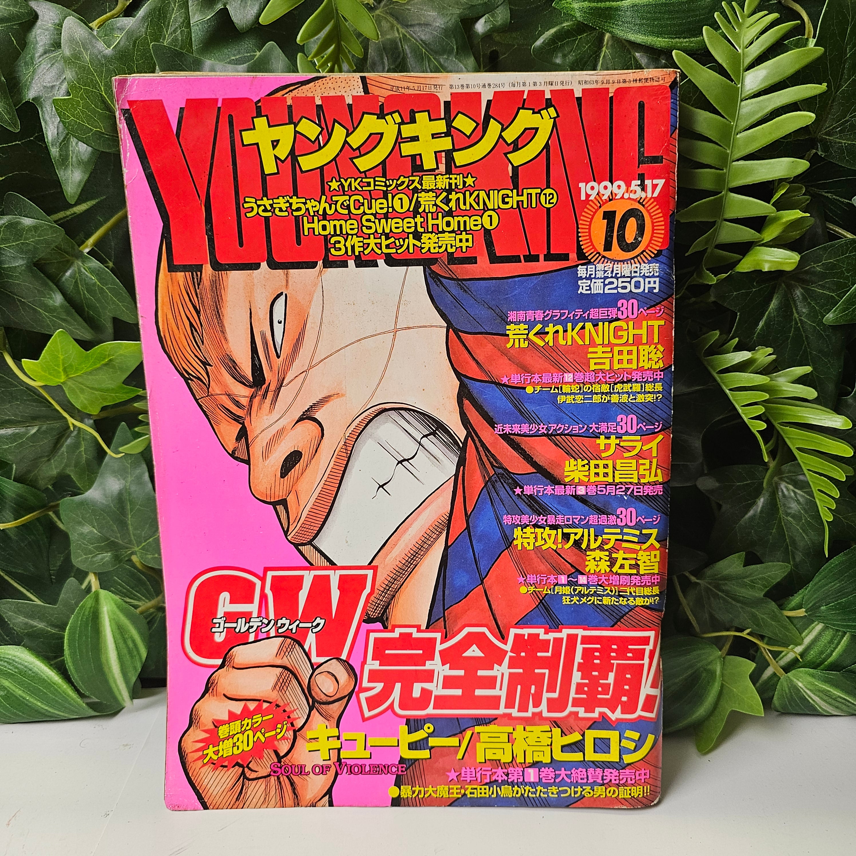 Young King n°10 (1999)