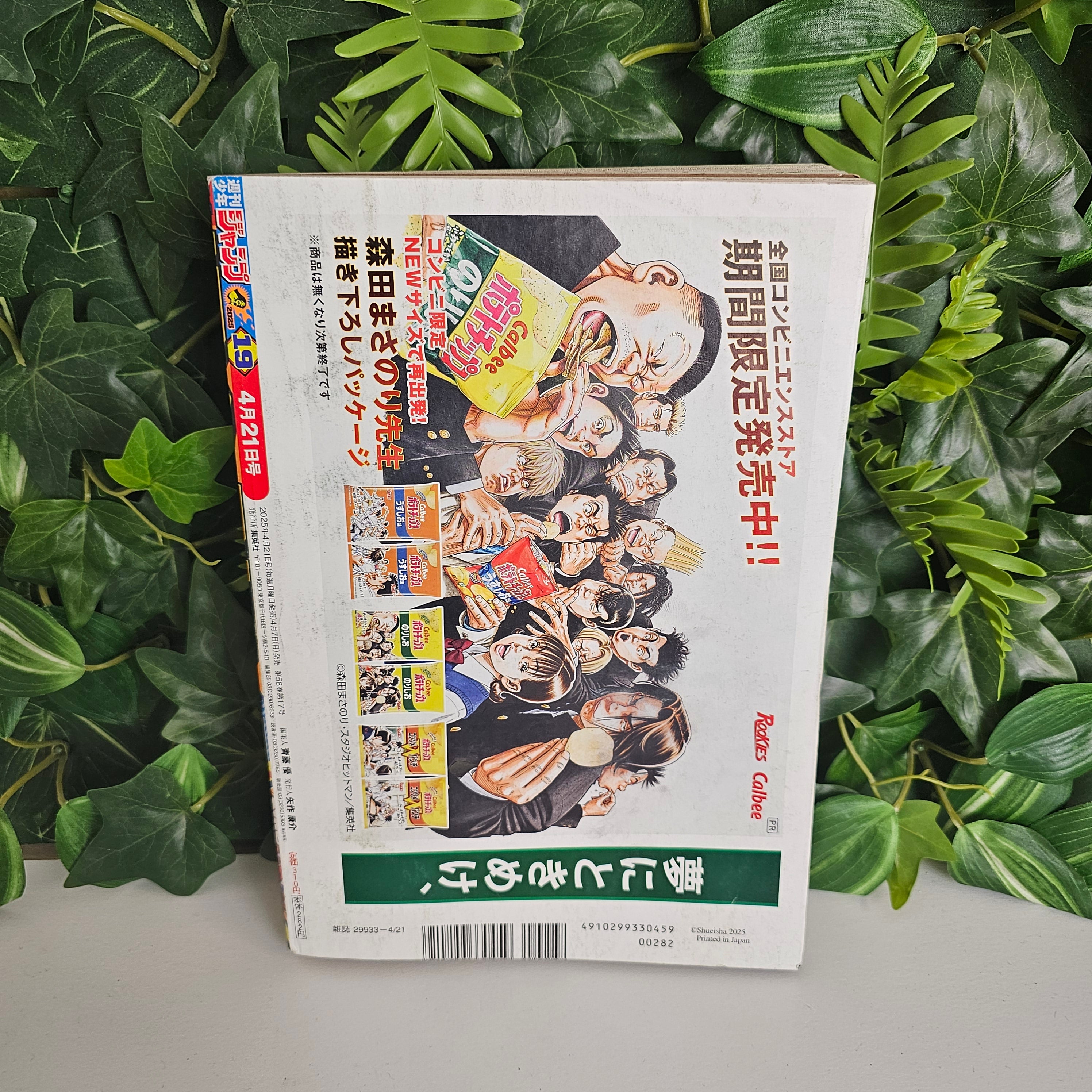 Weekly Shonen Jump n°19 (2025) (One Piece)