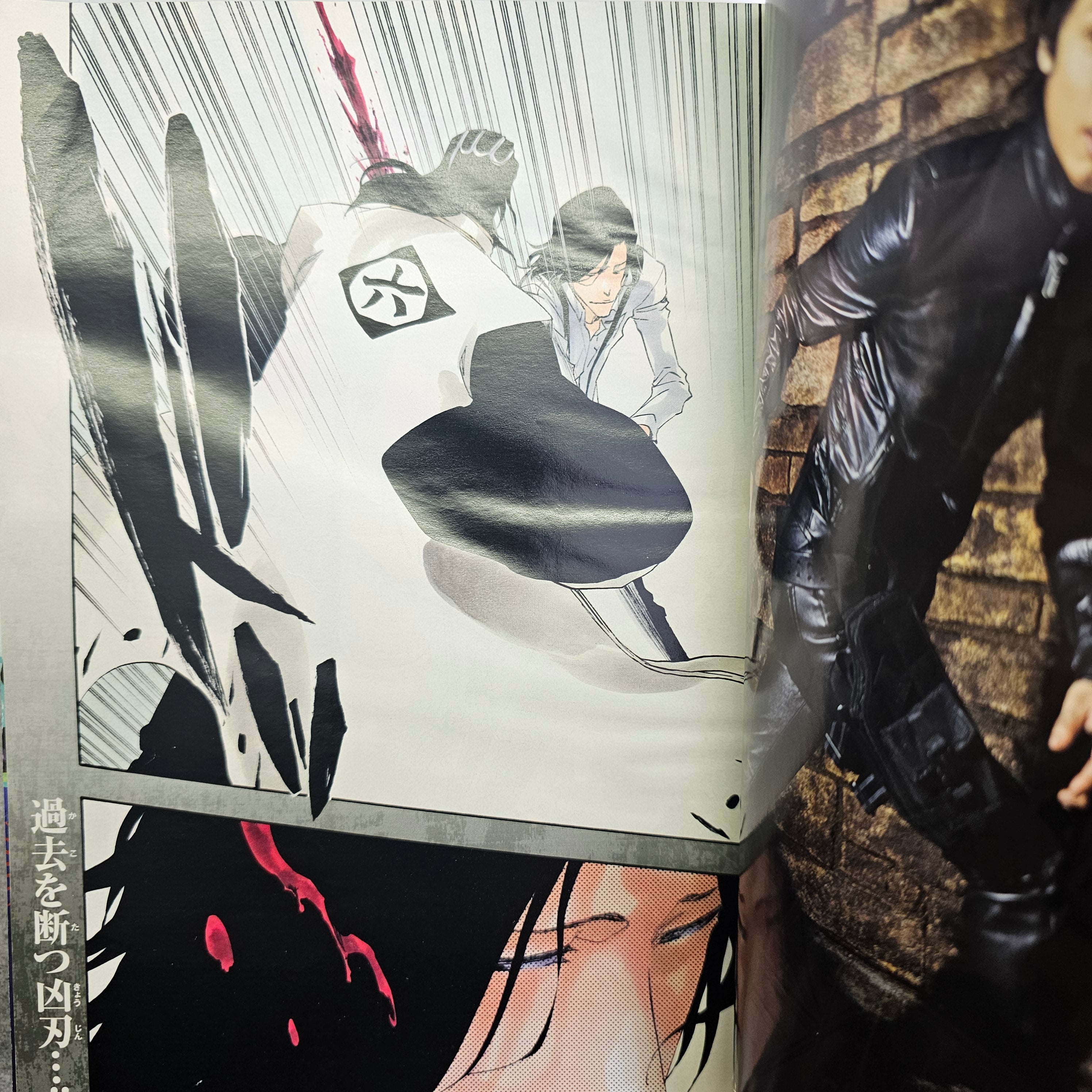 Weekly Shonen Jump n°46 (2011) (Bleach)