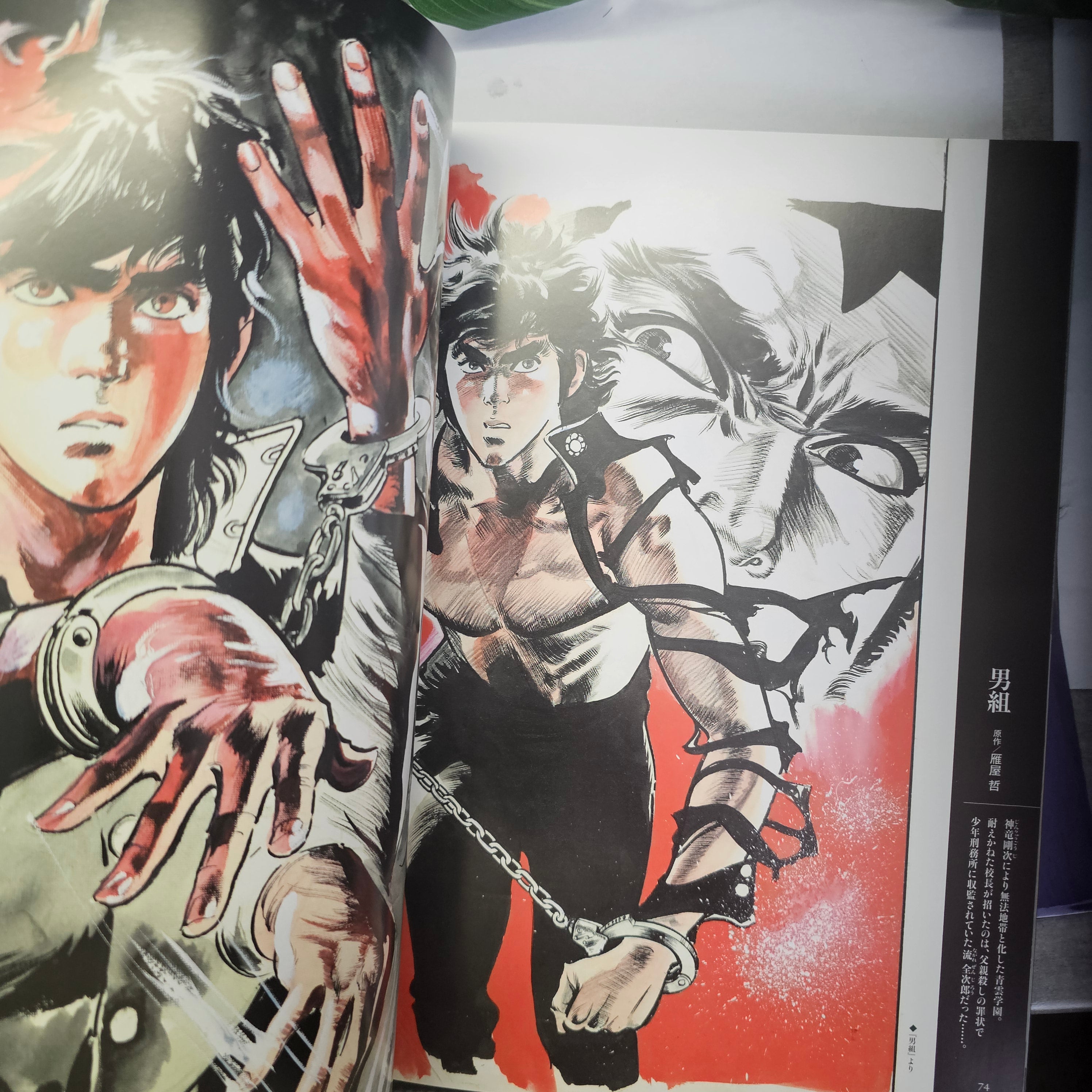 Ryoichi Ikegami Art Works - Japanese Wild and Beauty