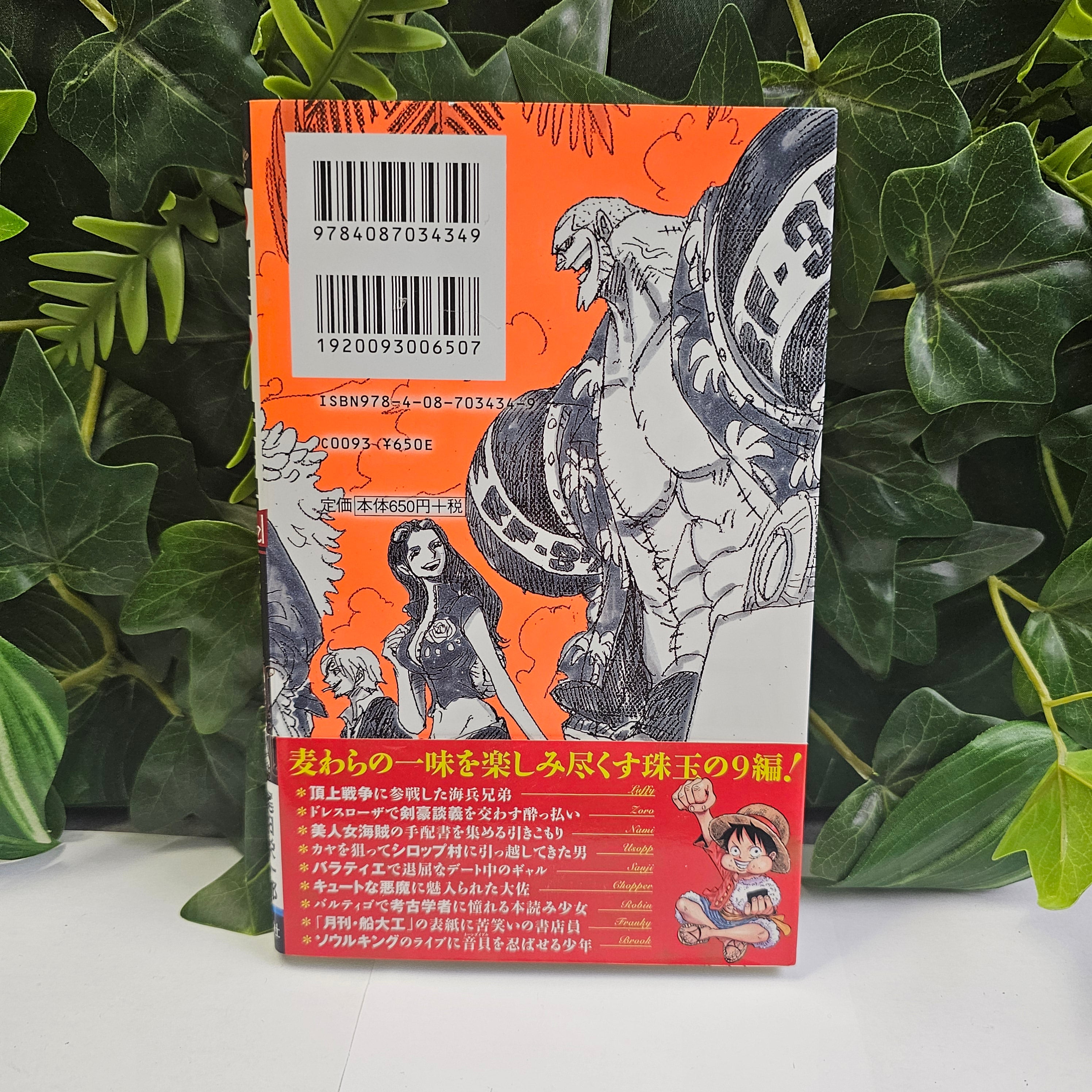 One Piece - Novel Straw Hat Stories