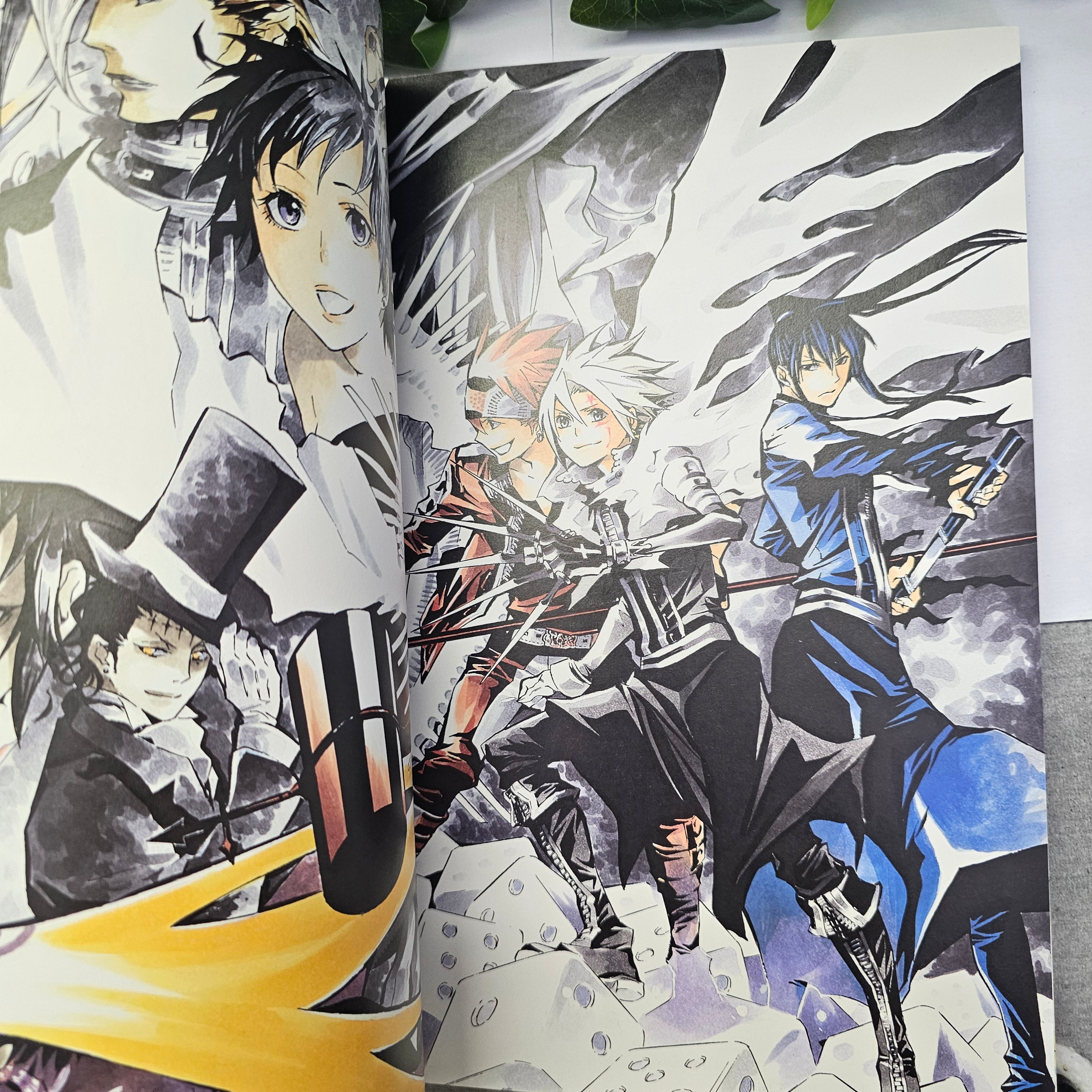 D.Gray-man Illustrations Noche - Artbook