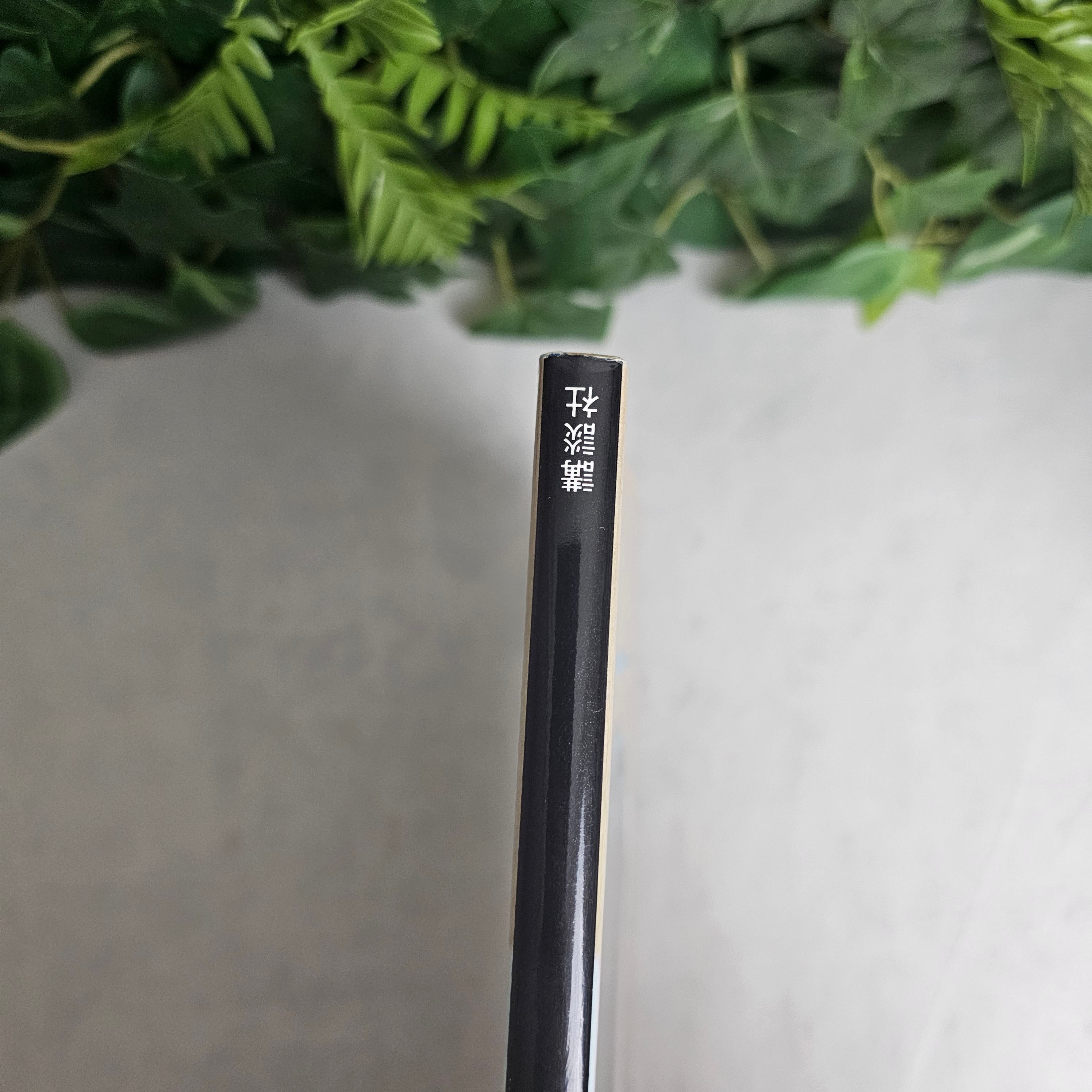 Artbook - Yoshikazu YASUHIKO