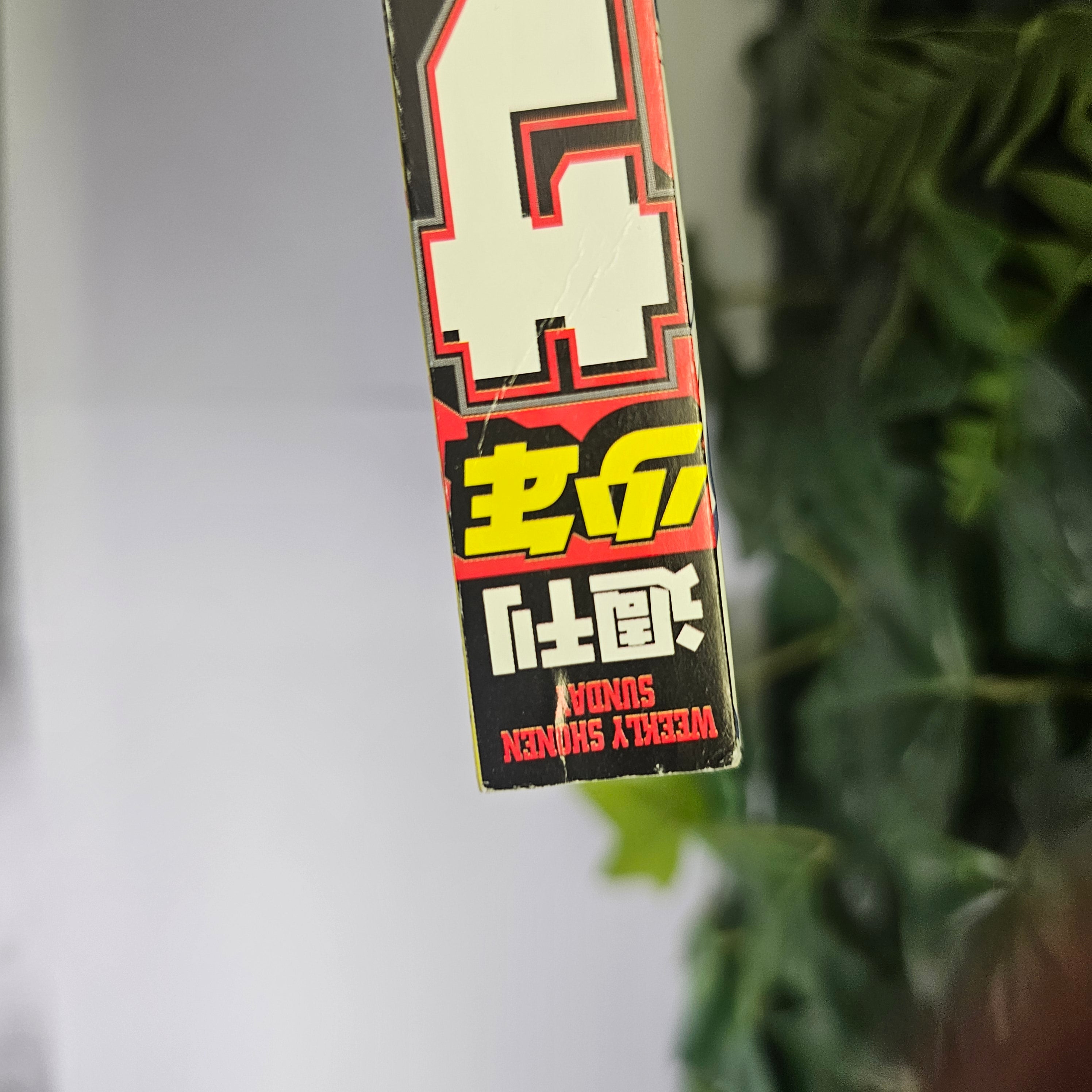 Weekly Shonen Sunday n°3-4 (2024)