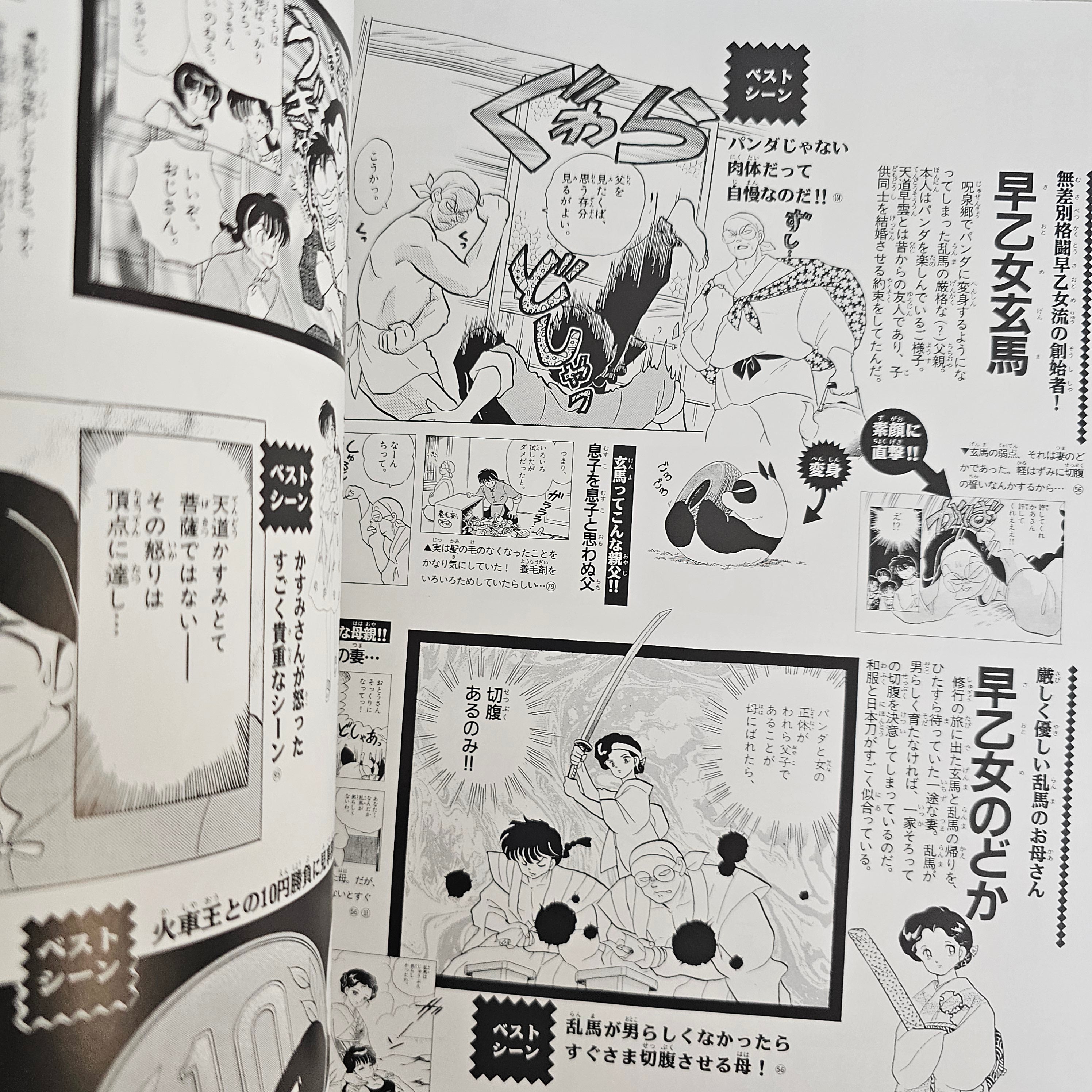 Ranma 1/2 - Memorial Book Édition Réimprimée