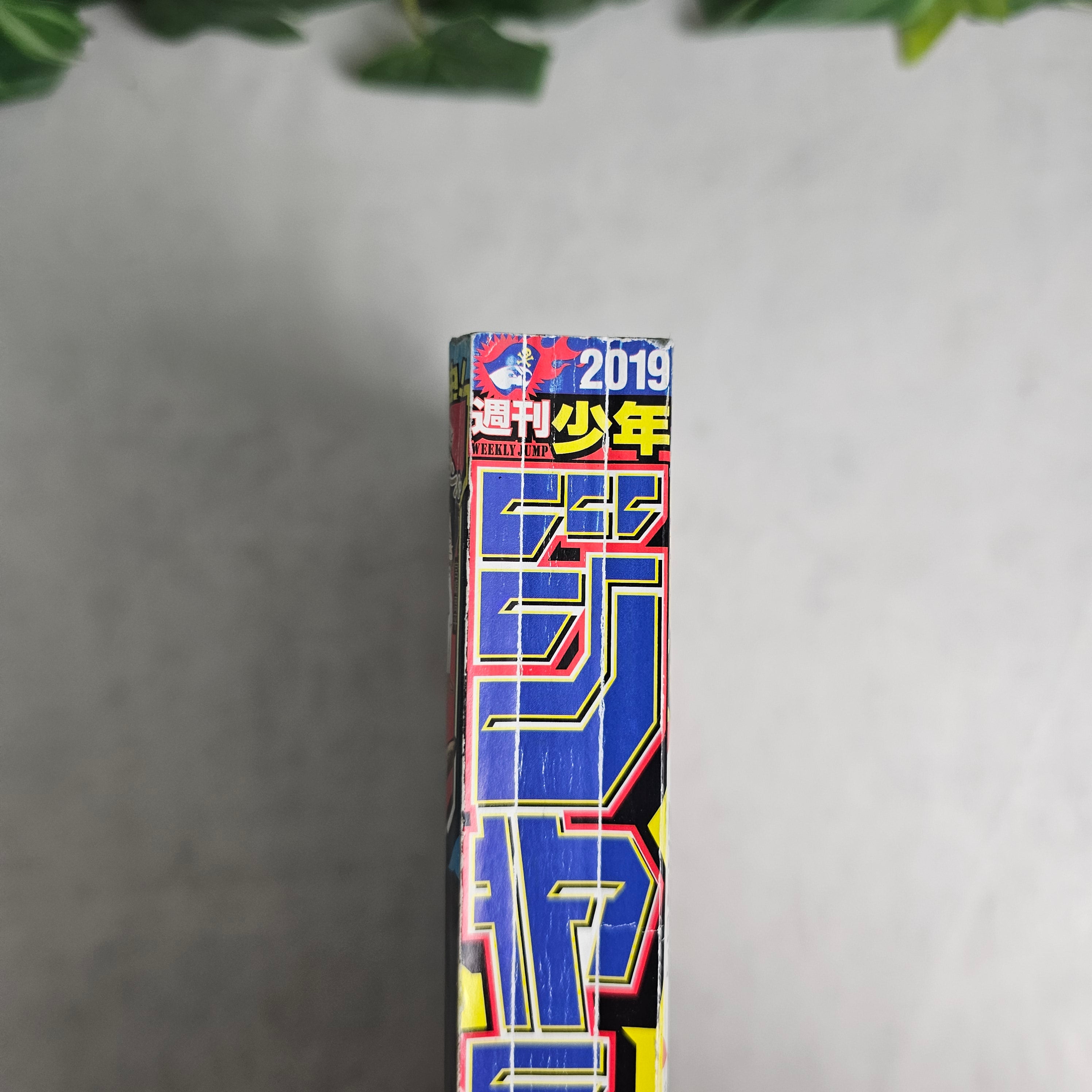 Weekly Shonen Jump n°8 (2019)