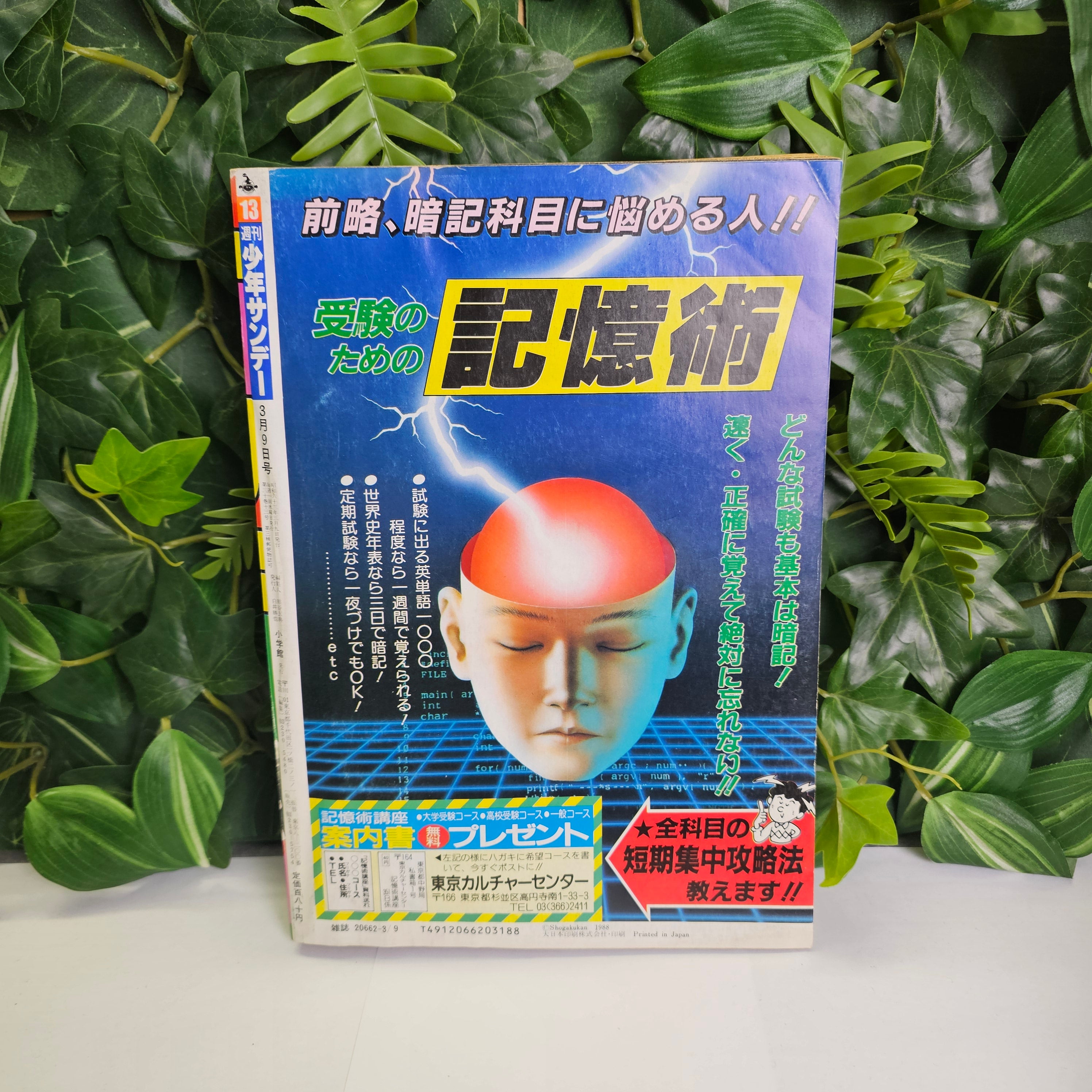 Weekly Shonen Sunday n°13 (1988)