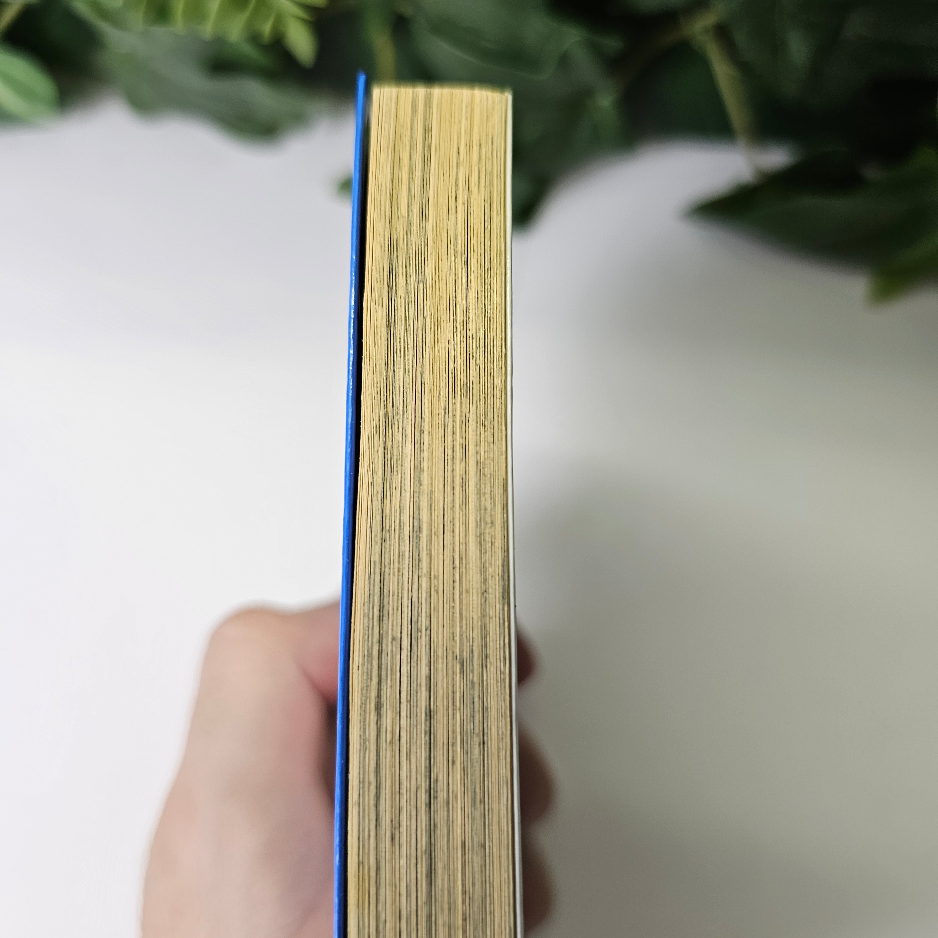 Bleach - Tome 1 (VO)